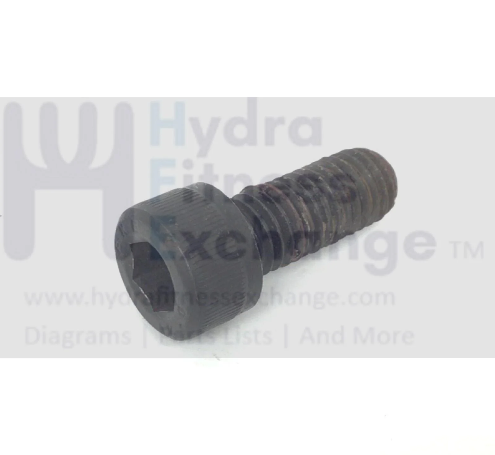 Expresso Fitness S3U Stationary Bike Socket Head Screw M10 x 1.5 x 25mm