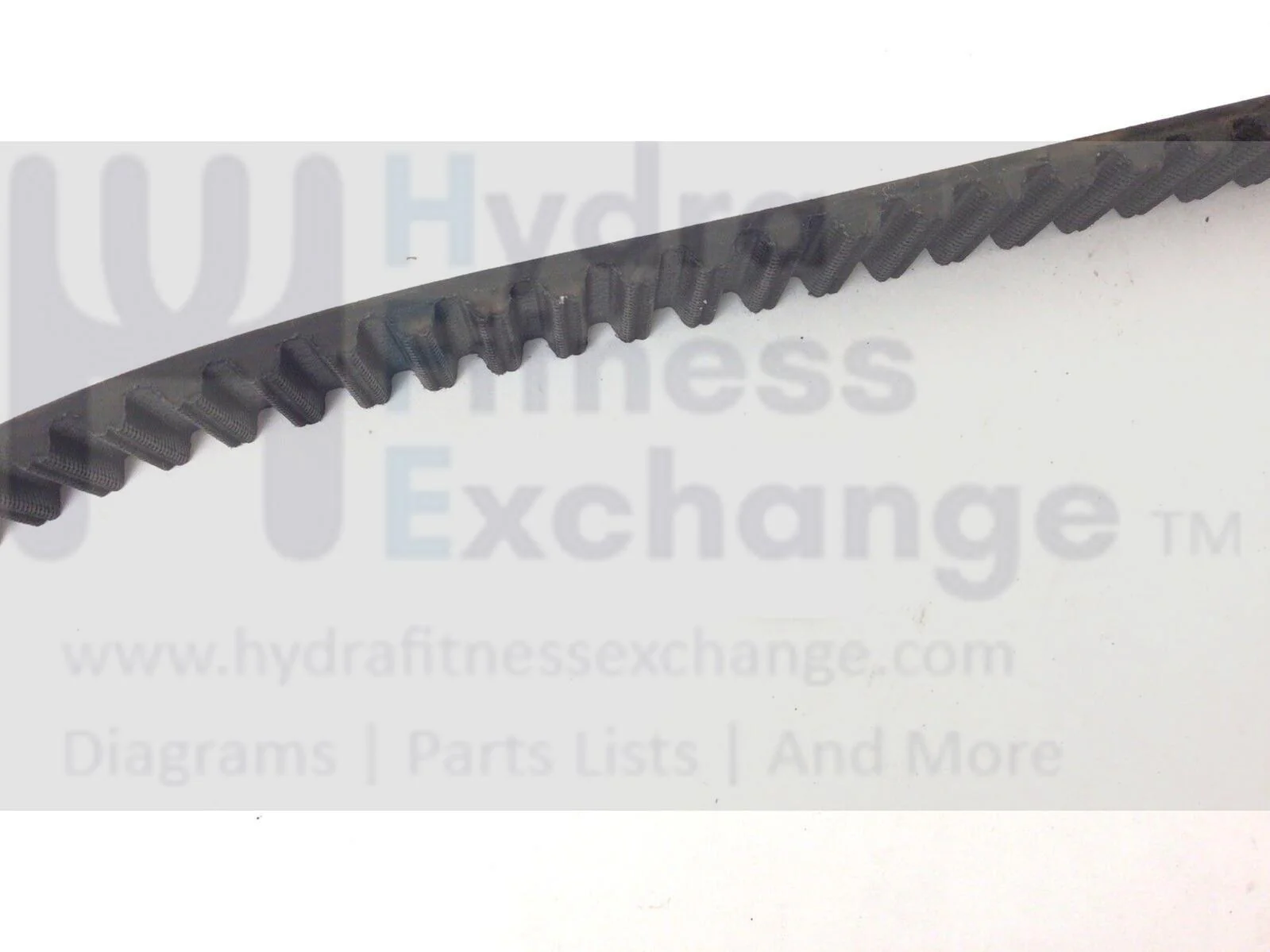 Expresso S2R S2U S3R S3U S3Y Stationary Bike Cogged Drive Belt 38" 8000-0049-01 - Image 2