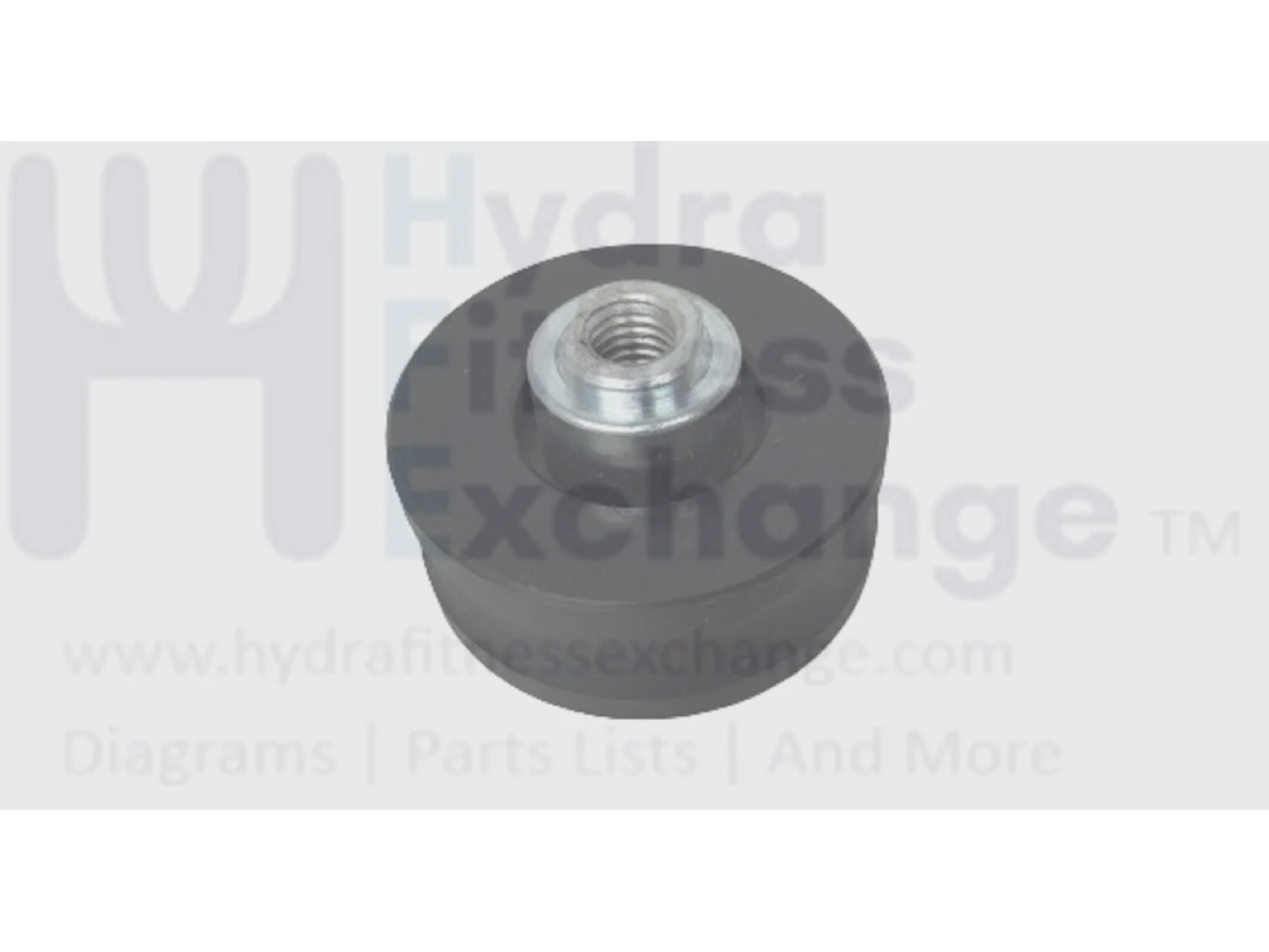 Expresso S3R S2U WIN Stationary Bike Idler Pulley with Bearing 8400.0094.01 - Image 2