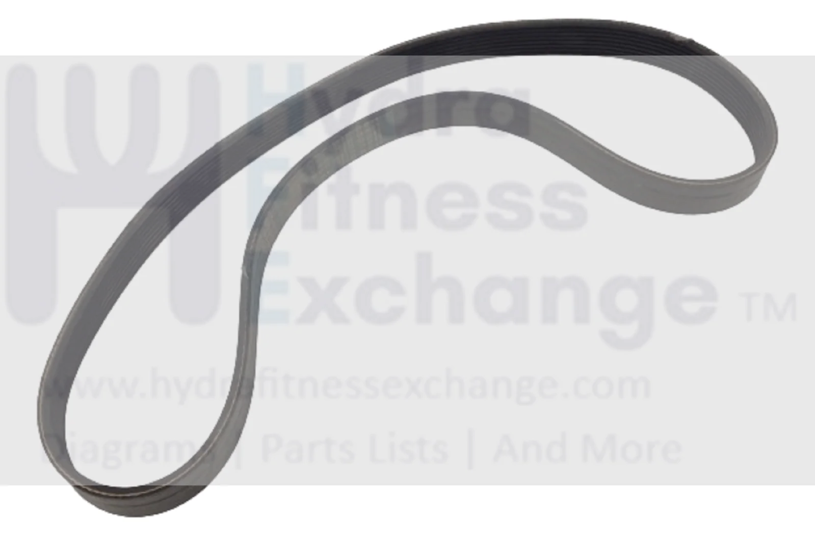 Used Expresso S3R S3U S2U Stationary Bike Pulley Drive Belt 31" 8 Ribs 8000-0048-01 - Image 2