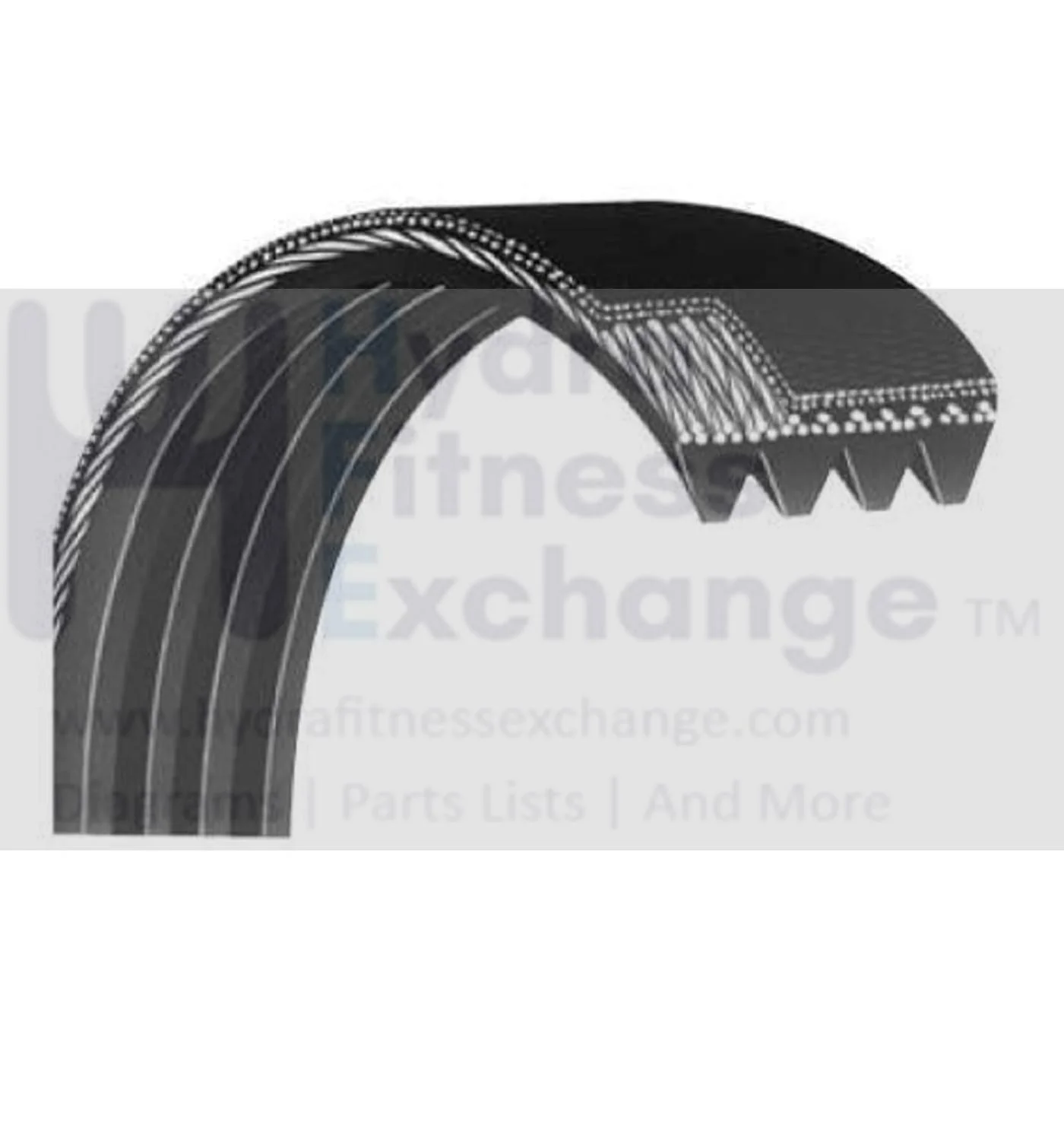 Matrix Fitness CB207 Upright Bike Poly V Pulley Drive Belt 42" 9 Ribs 1000446737
