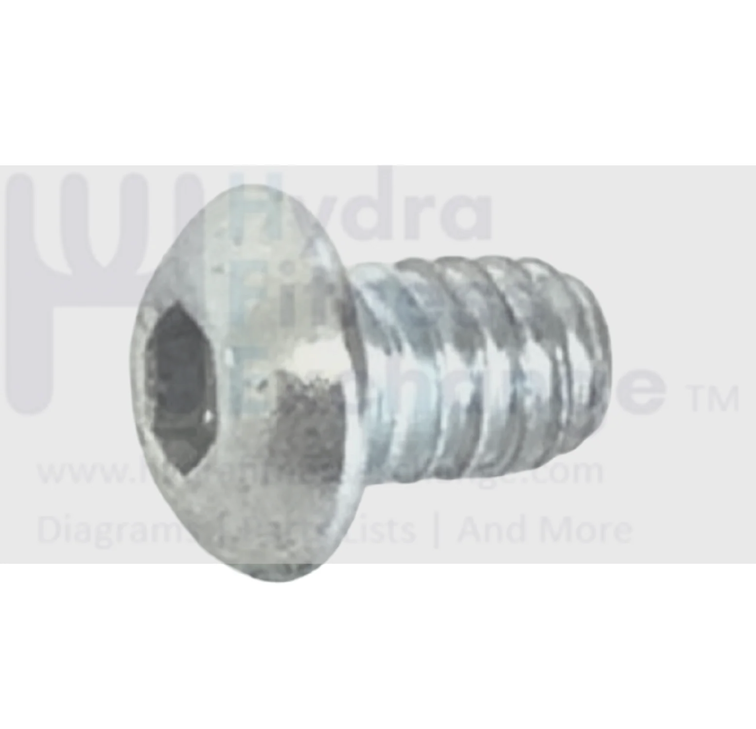 FreeMotion 770 InteractiveSFTL15510.0 Treadmill Chrome Button Head Screw 1/4-20mm