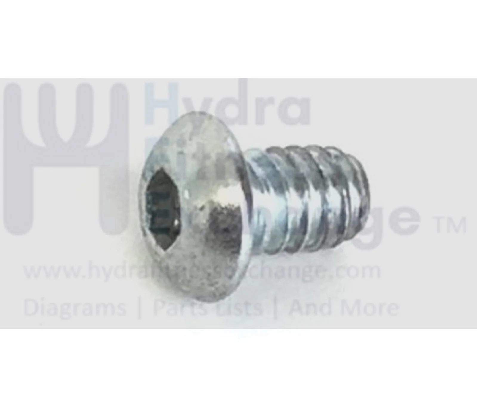 FreeMotion 770 InteractiveSFTL15510.0 Treadmill Chrome Button Head Screw 1/4-20mm - Image 2