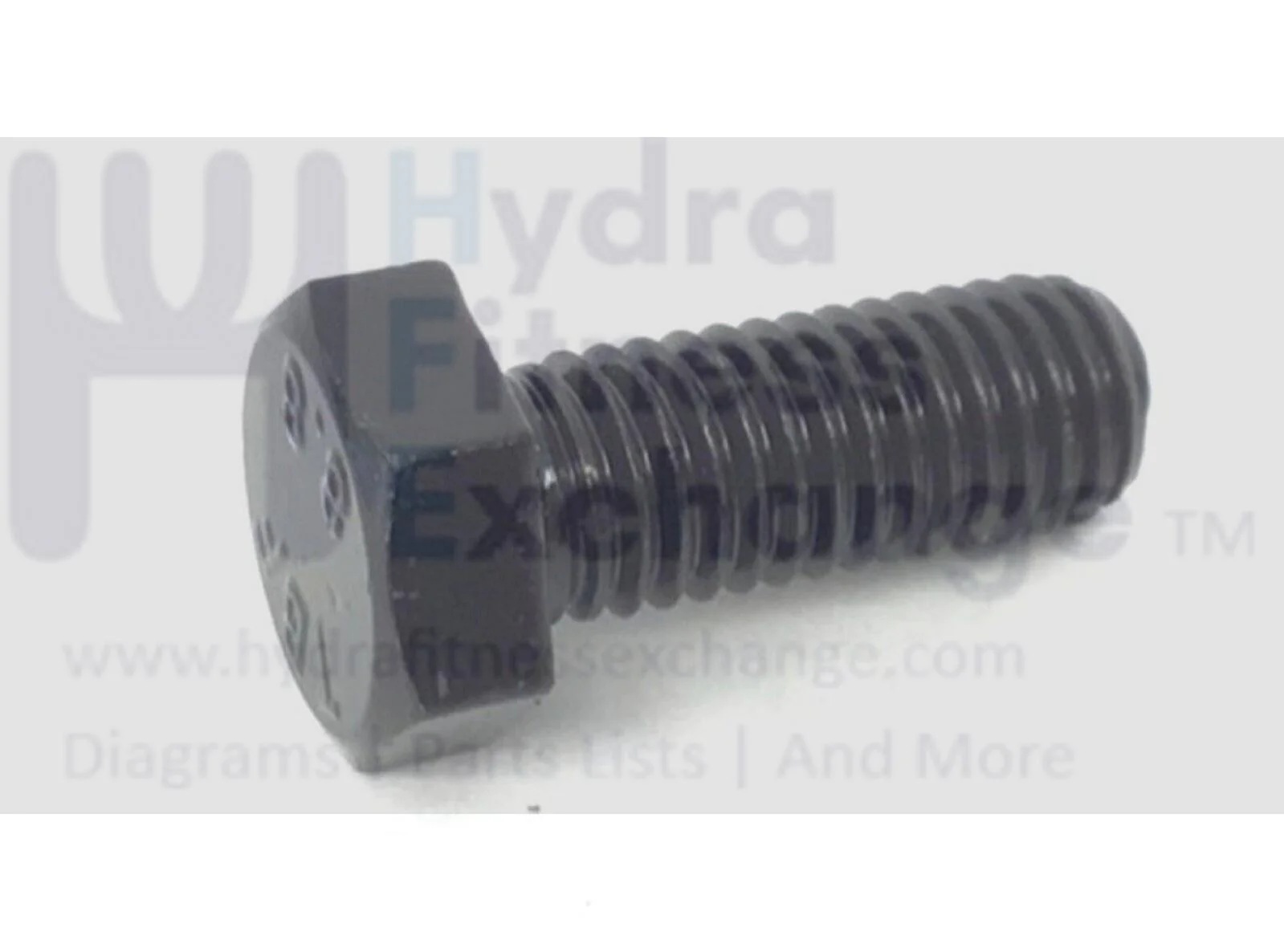 Freemotion Gold's Gym Health Rider Image Strength System Bolt M10 X 25mm 164237