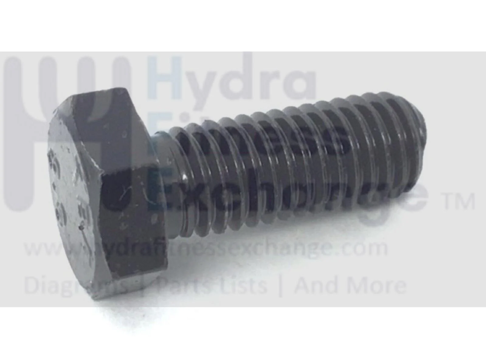 Freemotion Gold's Gym Health Rider Image Strength System Bolt M10 X 25mm 164237 - Image 2