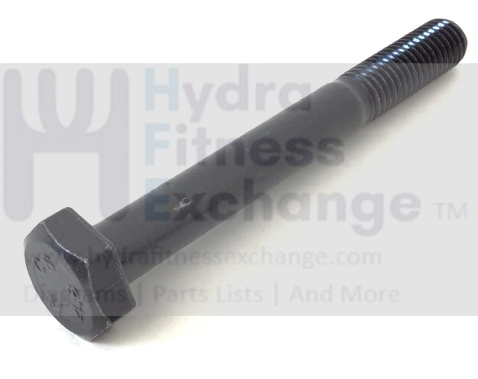 FreeMotion Gold's Gym Proform Strength System Hex Head Bolt M10x84mm 194587