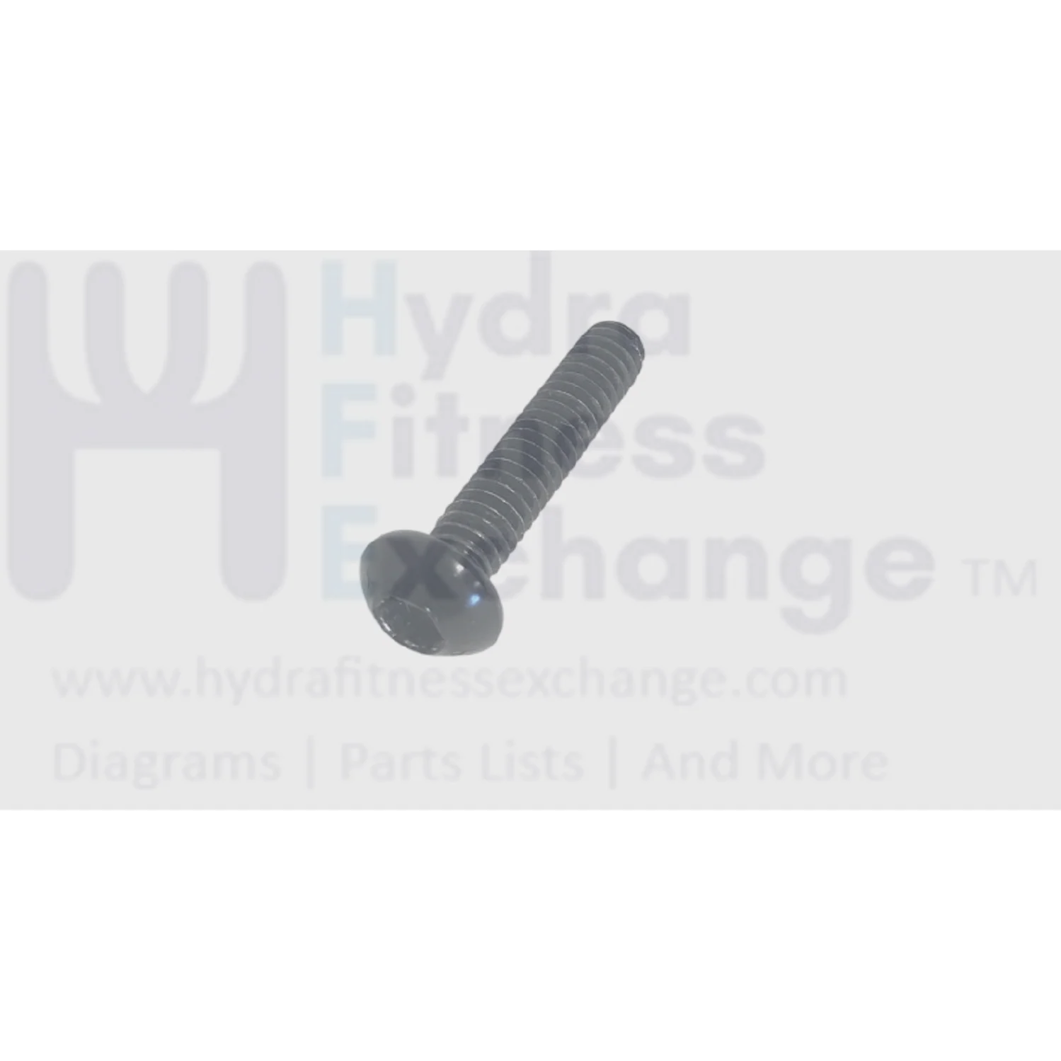 Freemotion Gold's Gym Reebok Health Rider Icon Image Nordictrack Proform Epic Tony Little Treadmill Button Head Hex Socket Screw 1/4" X 1 1/4" 225696