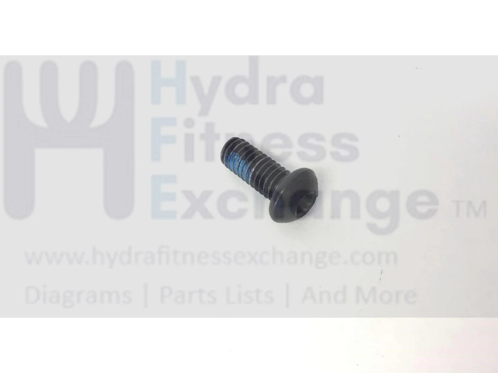 Freemotion Gold's Gym Reebok Health Rider Icon Nordictrack Proform Treadmill Button Head Hex Socket Screw 5/16" x 3/4" 264255 - Image 2