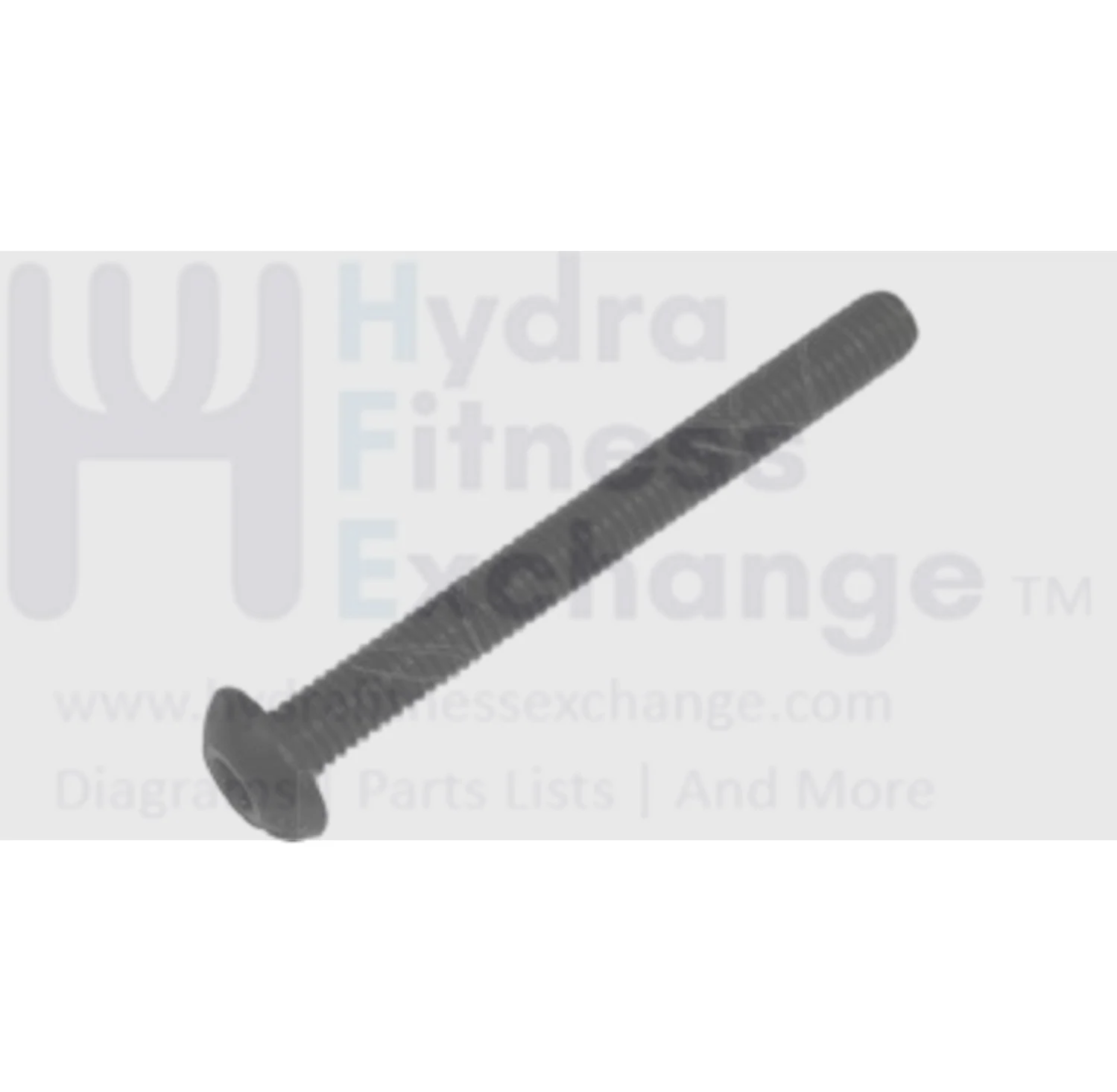 Freemotion Health Rider Icon Image Nordictrack Proform Weslo Treadmill Screw M6 X 58mm 237809