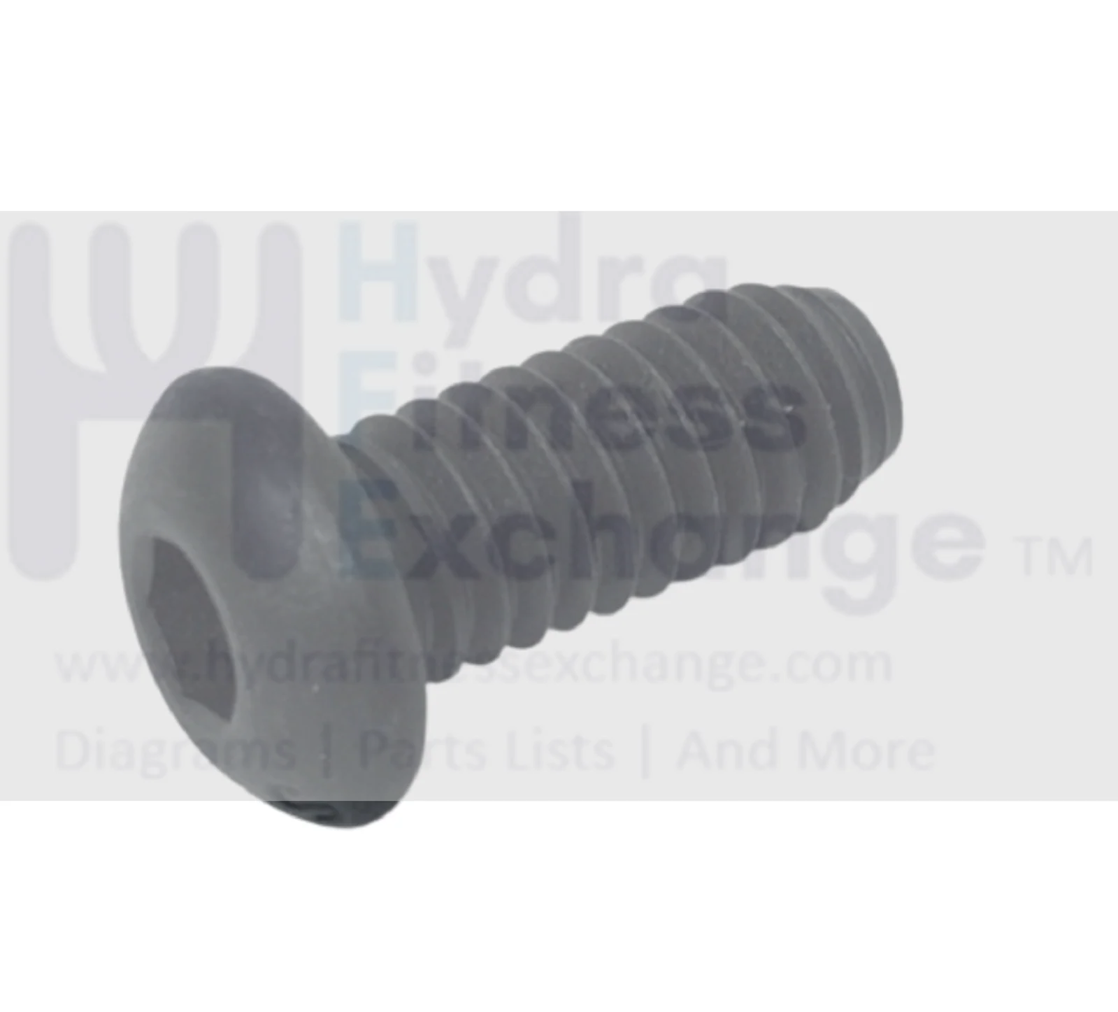 Freemotion Health Rider NordicTrack ProForm Treadmill Screw 5/16" X 3/4" 295136