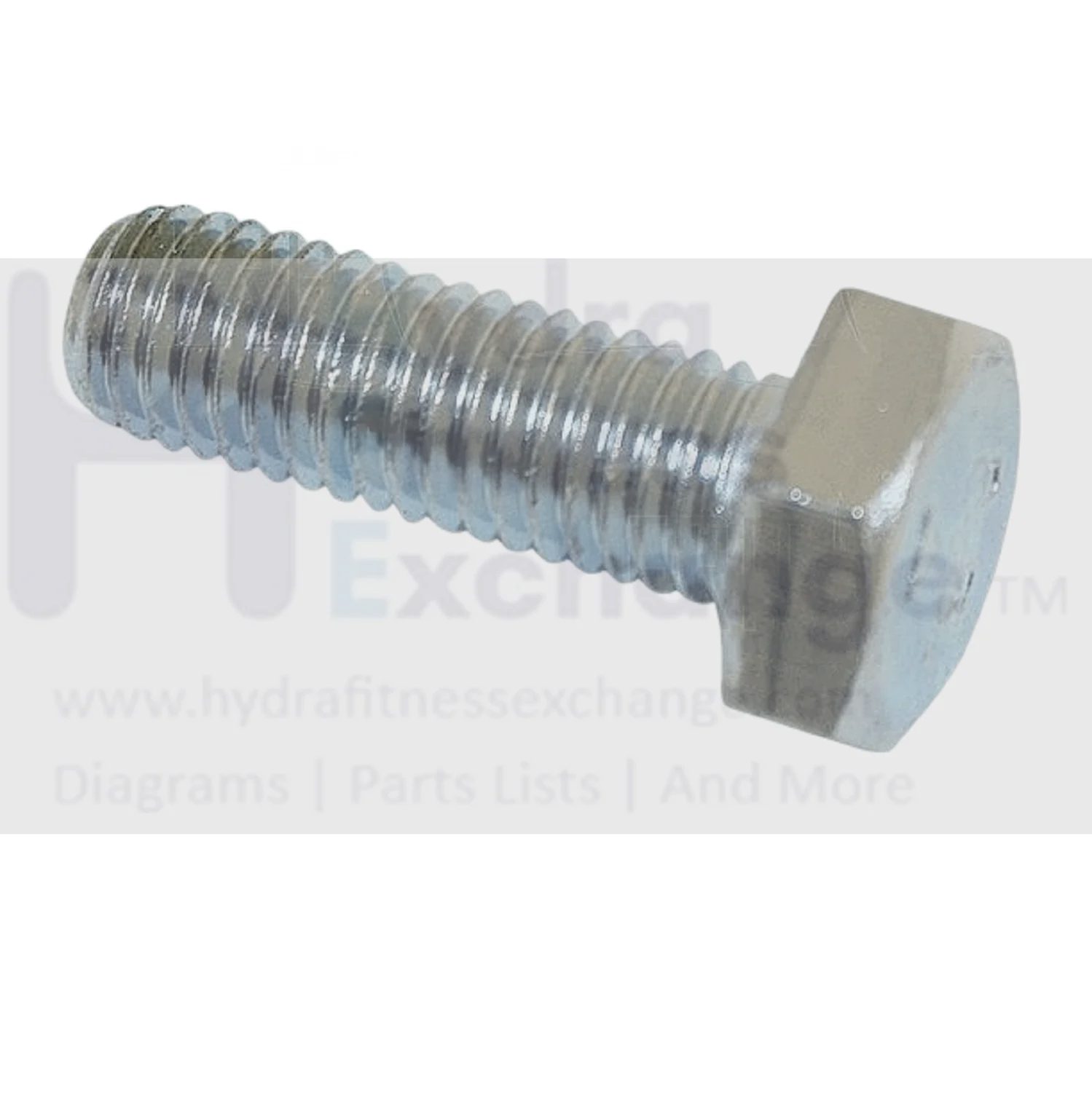 Freemotion Image Gold's Gym Icon Nordictrack Proform Weider Strength System Hex Head Bolt M10 X 30mm 171398