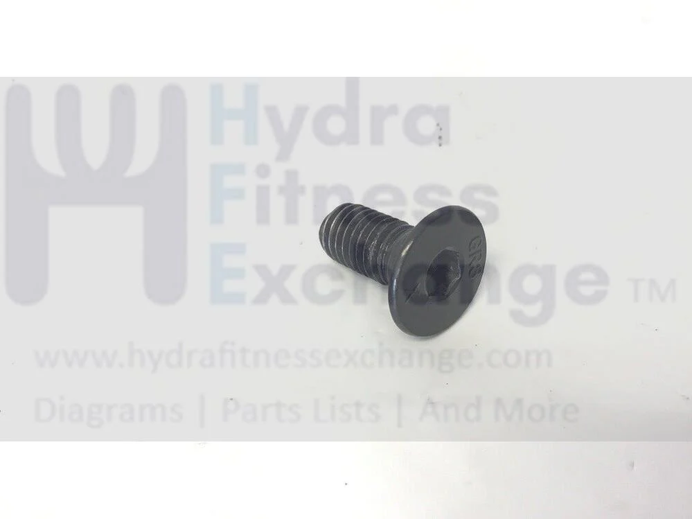 FreeMotion NordicTrack Proform Elite 12.9T Elliptical Flat Head Screw M8 356255