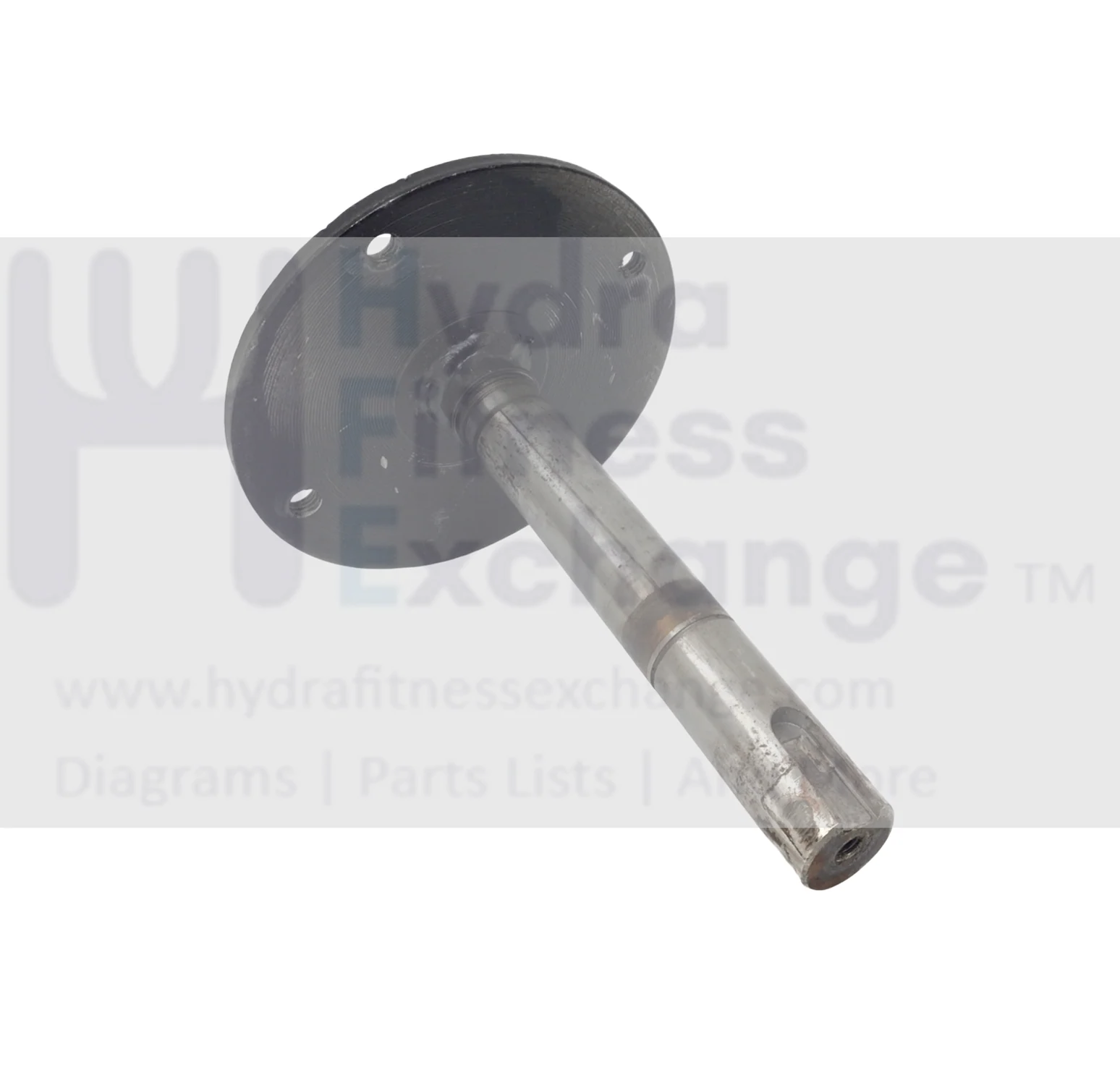 FreeMotion NordicTrack Proform Elliptical Crank Axle with Plate 316839