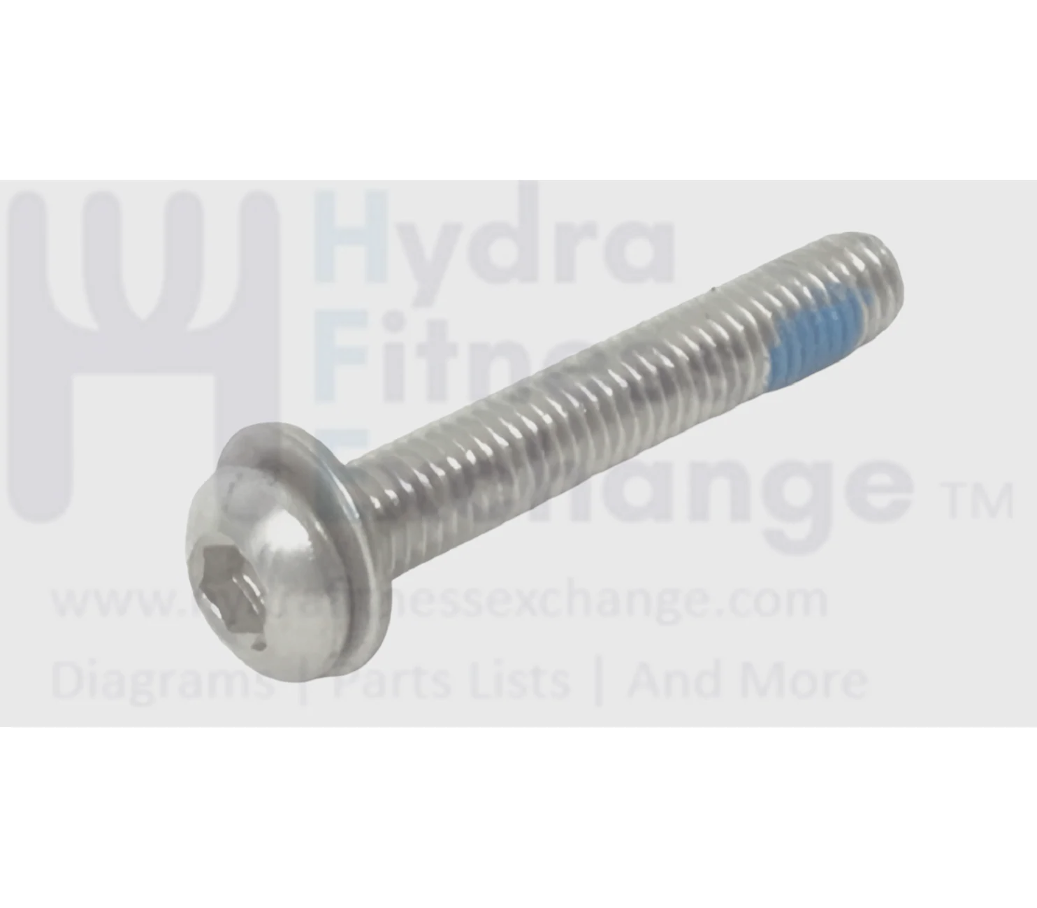 FreeMotion Stationary Bike Button Head Hex Socket Stainless Screw M6 -1.0 x 40mm