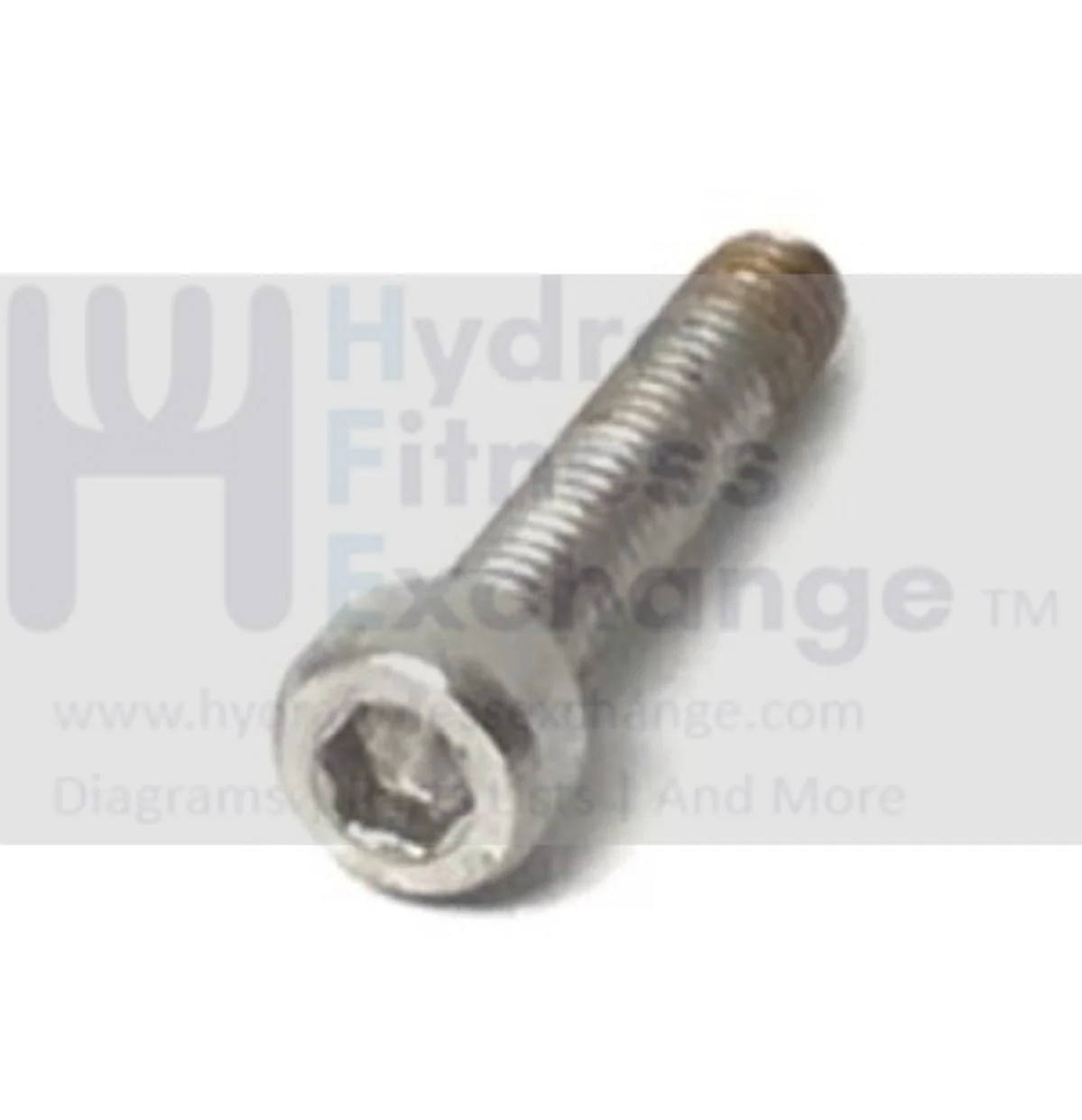 FreeMotion Stationary Bike Round Head Hex Socket Stainless Screw M4 - 0.7 x 20mm