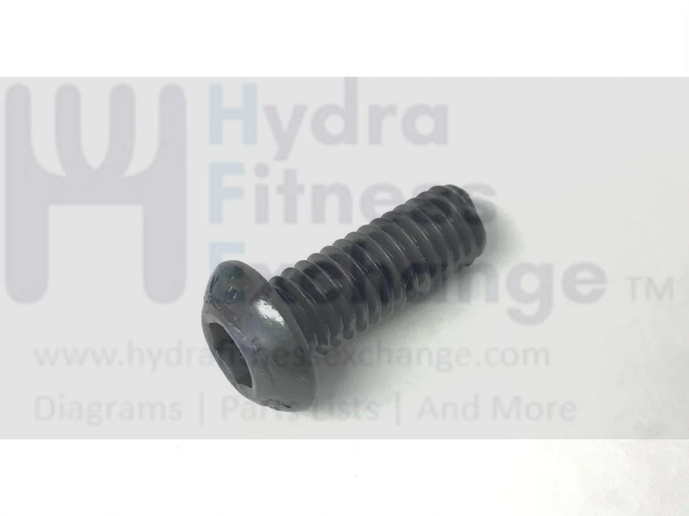 Gold''s Gym Epic FreeMotion HealthRider Bench Button Head Socket Screw 208939 - Image 2
