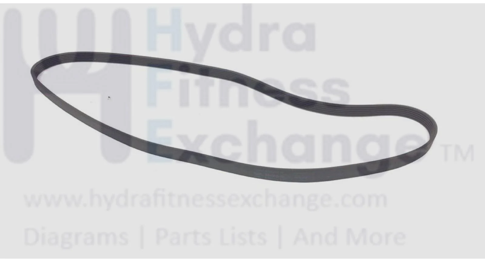 Gold's Gym HealthRider Lifestyler Elliptical Pulley Drive Belt 44" 144335 - Image 2