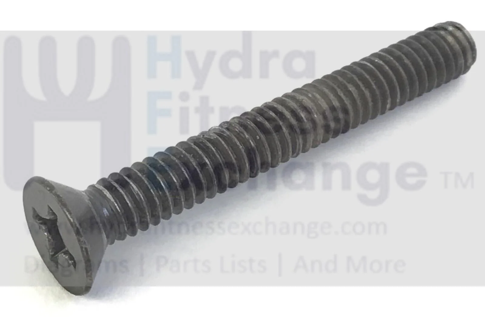 Gold's Gym HealthRider Proform Reebok Treadmill Screw 1/4"-20x1.80" 164014