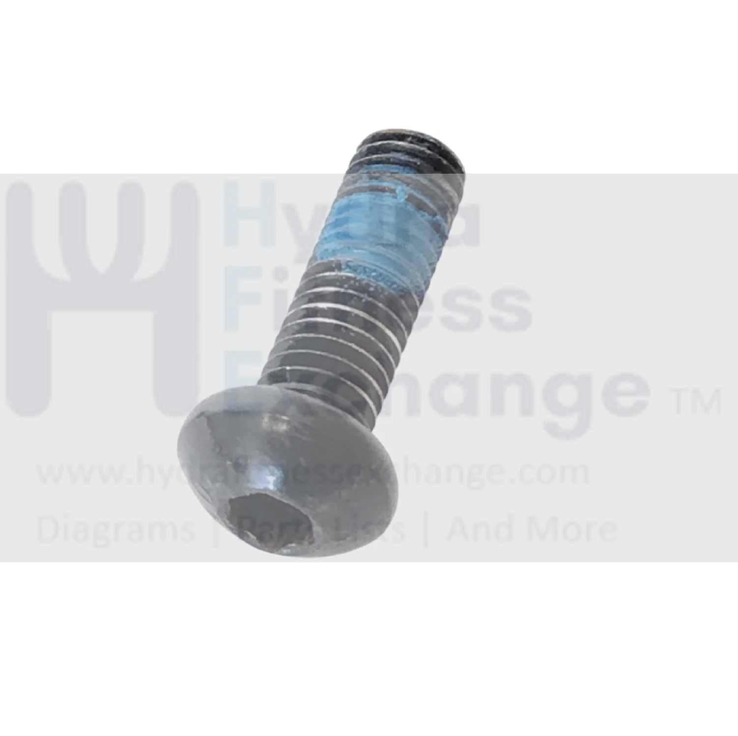 Gold's Gym Image Reebok Weider Weslo Freemotion Health Rider Nordictrack Proform Icon Miscellaneous Cardio Button Head Socket Screw M8 X 25mm 153274