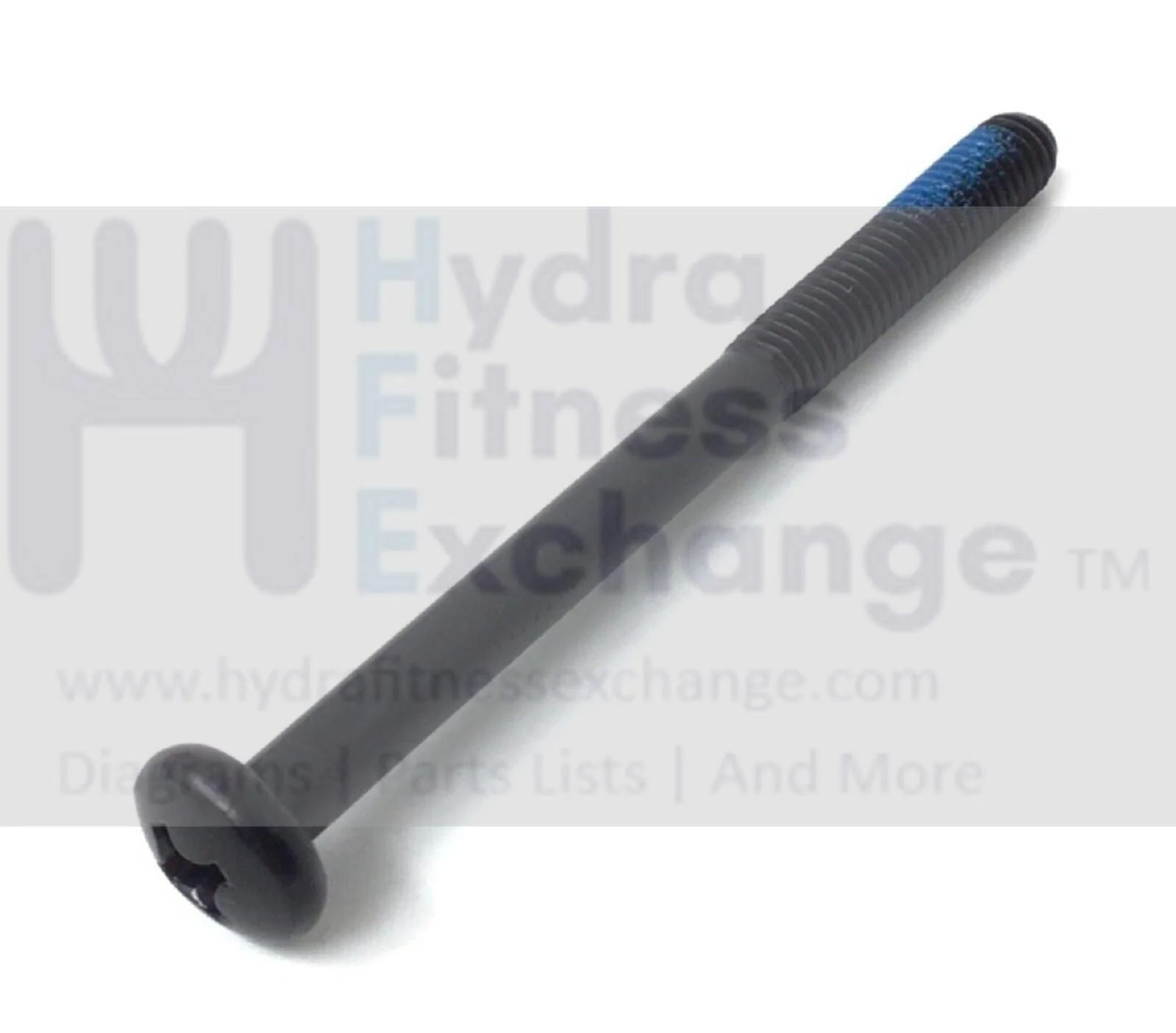 Gold's Gym Proform Weider Strength Systems Screw M6 X 73mm 207051