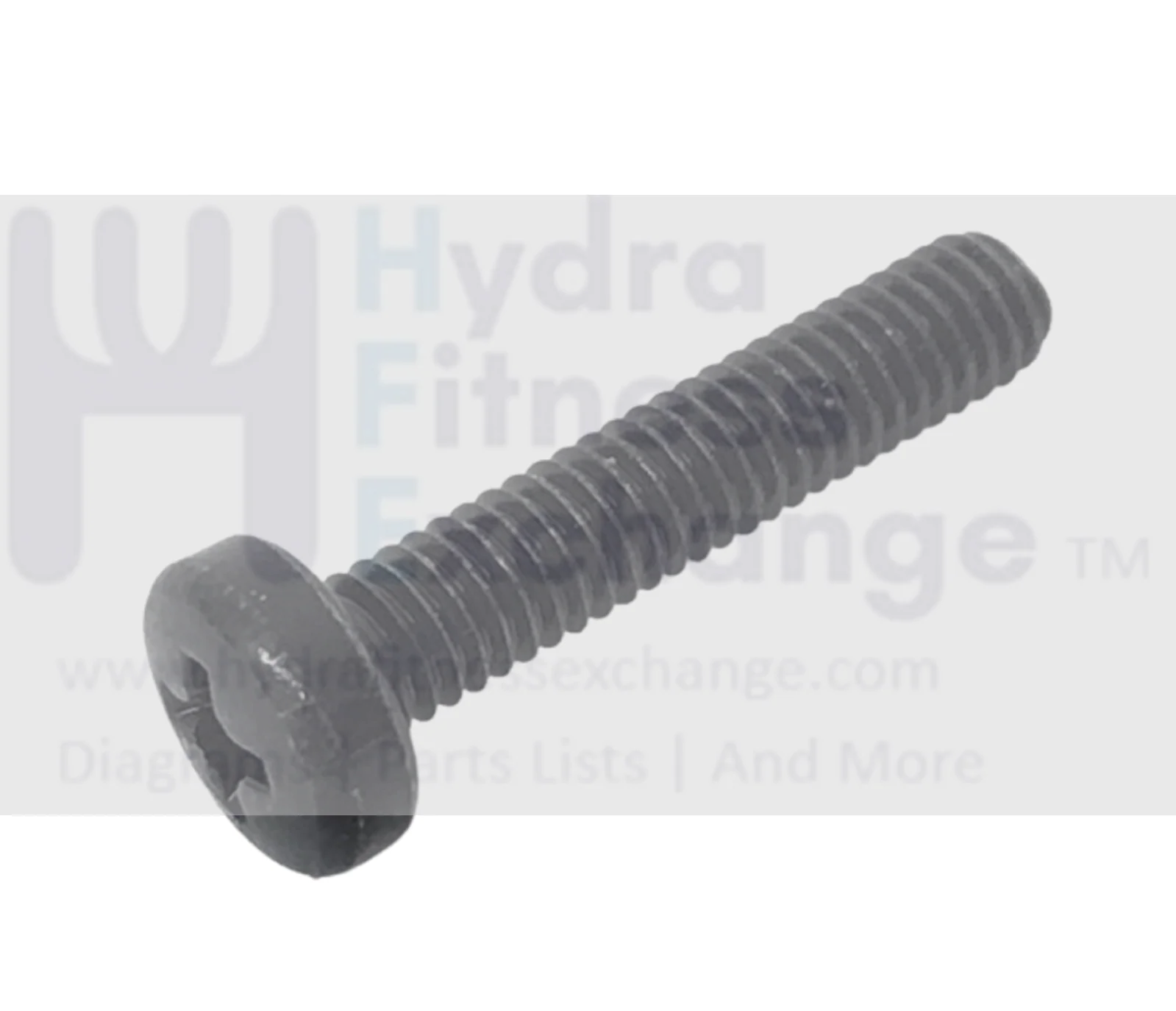 Health Rider Nordictrack Weider Proform Treadmill Screw M4 - 0.7 x 20mm 239245