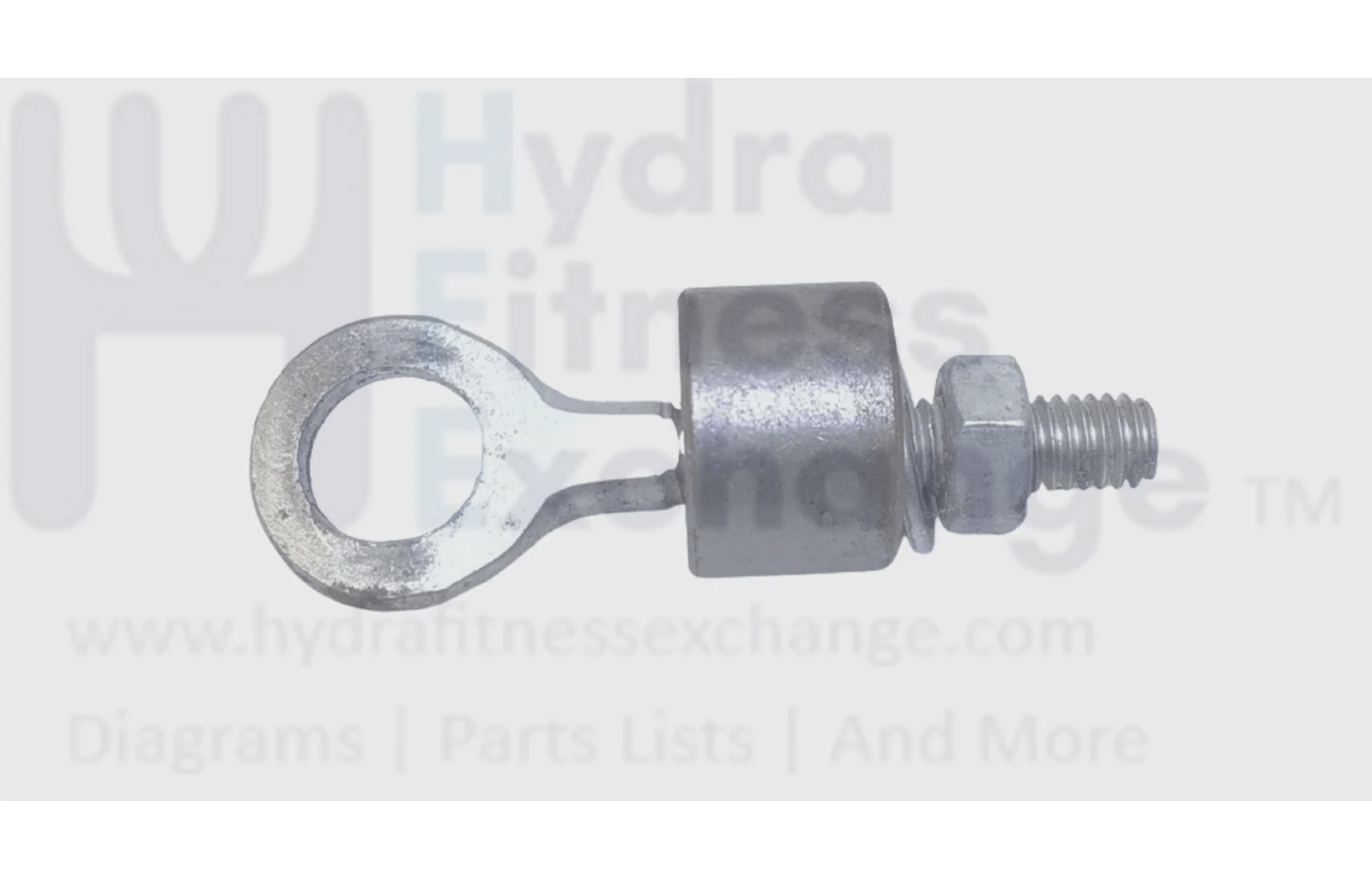 Hoist Fitness Systems 11540 Recumbent Bike Flywheel Eye Bolt Set
