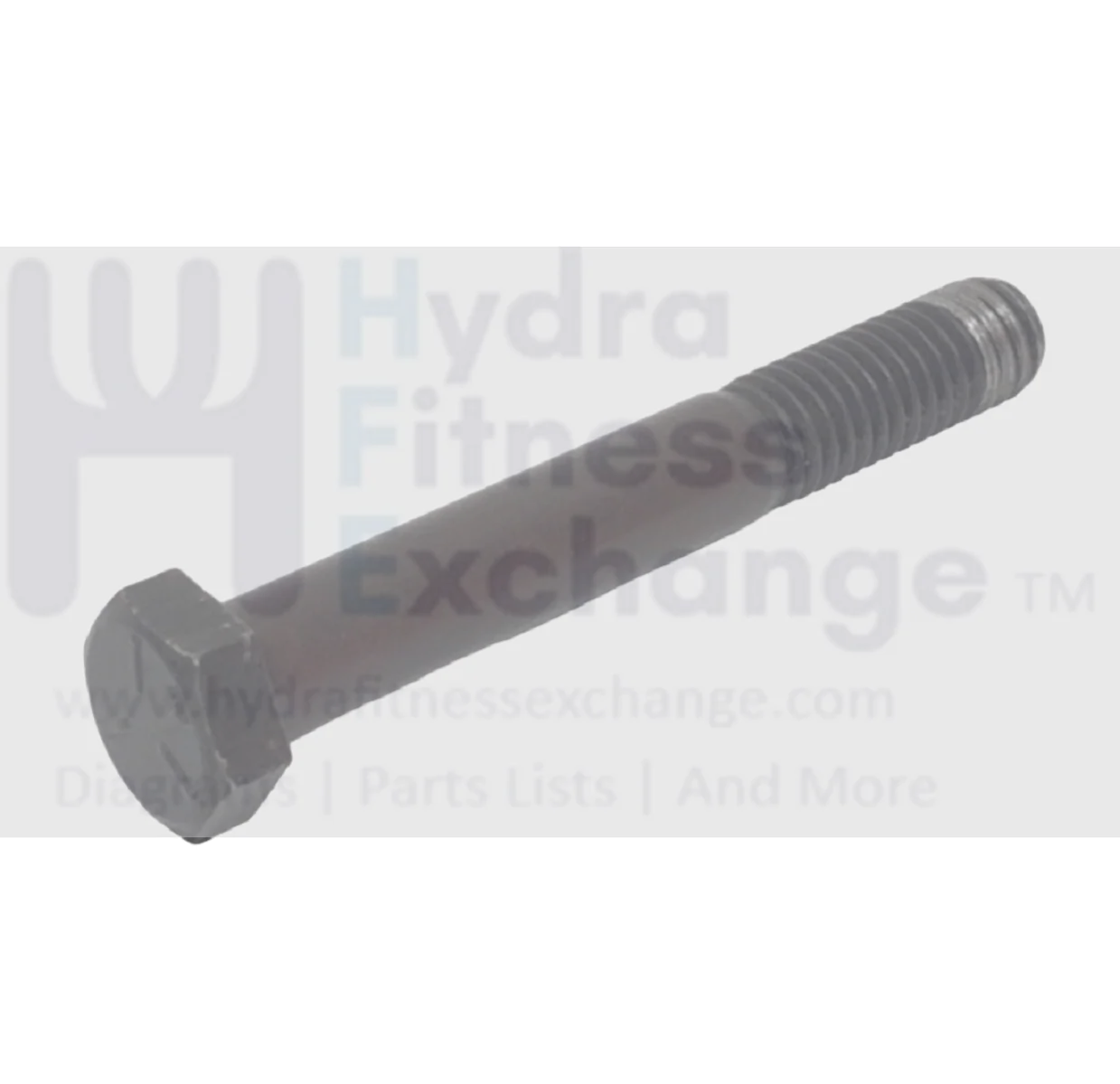 Hoist H500 Multi Station Strength System Hex Bolt 3-8Inch-16 x 3inch 11-HEX-383