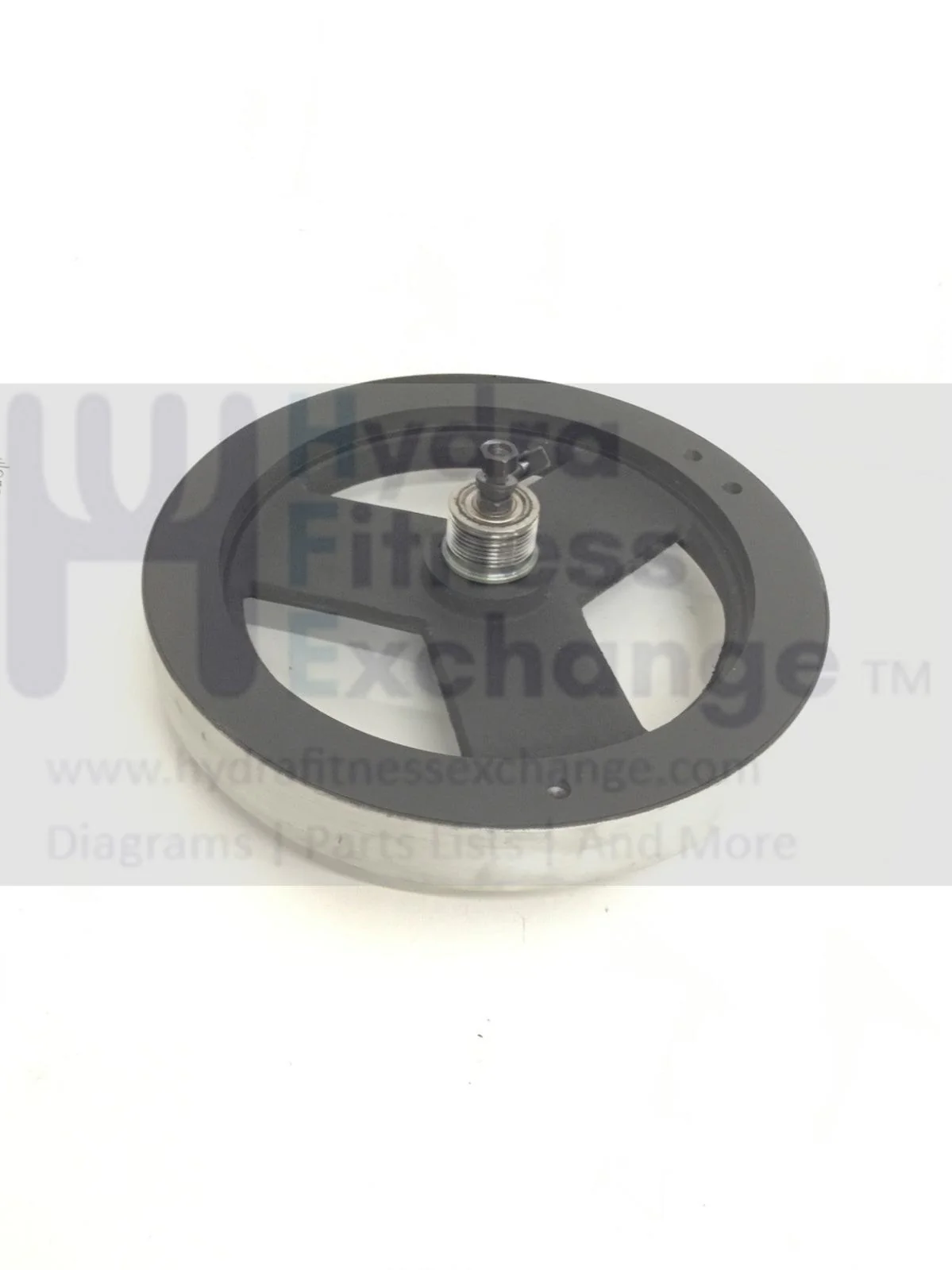 Horizon 2.1E RE1 E30 Elliptical Magnetic Brake Resistance Flywheel Set 013196-Z