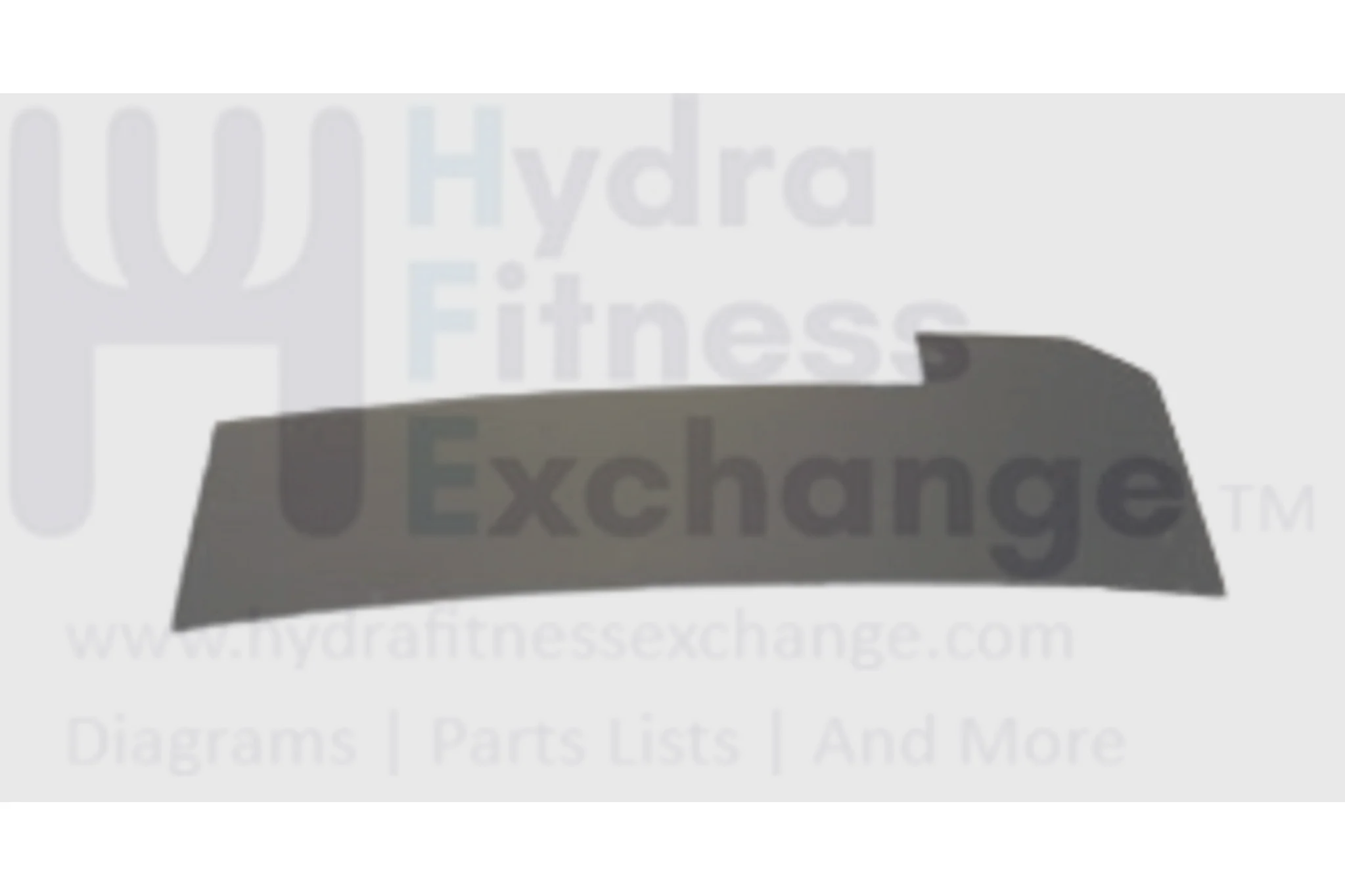 Horizon Advanced Fitness Group 3.5AT CT5.2 CT5.3 GS950TSM T101 Treadmill Pin Side Rail 1000204119