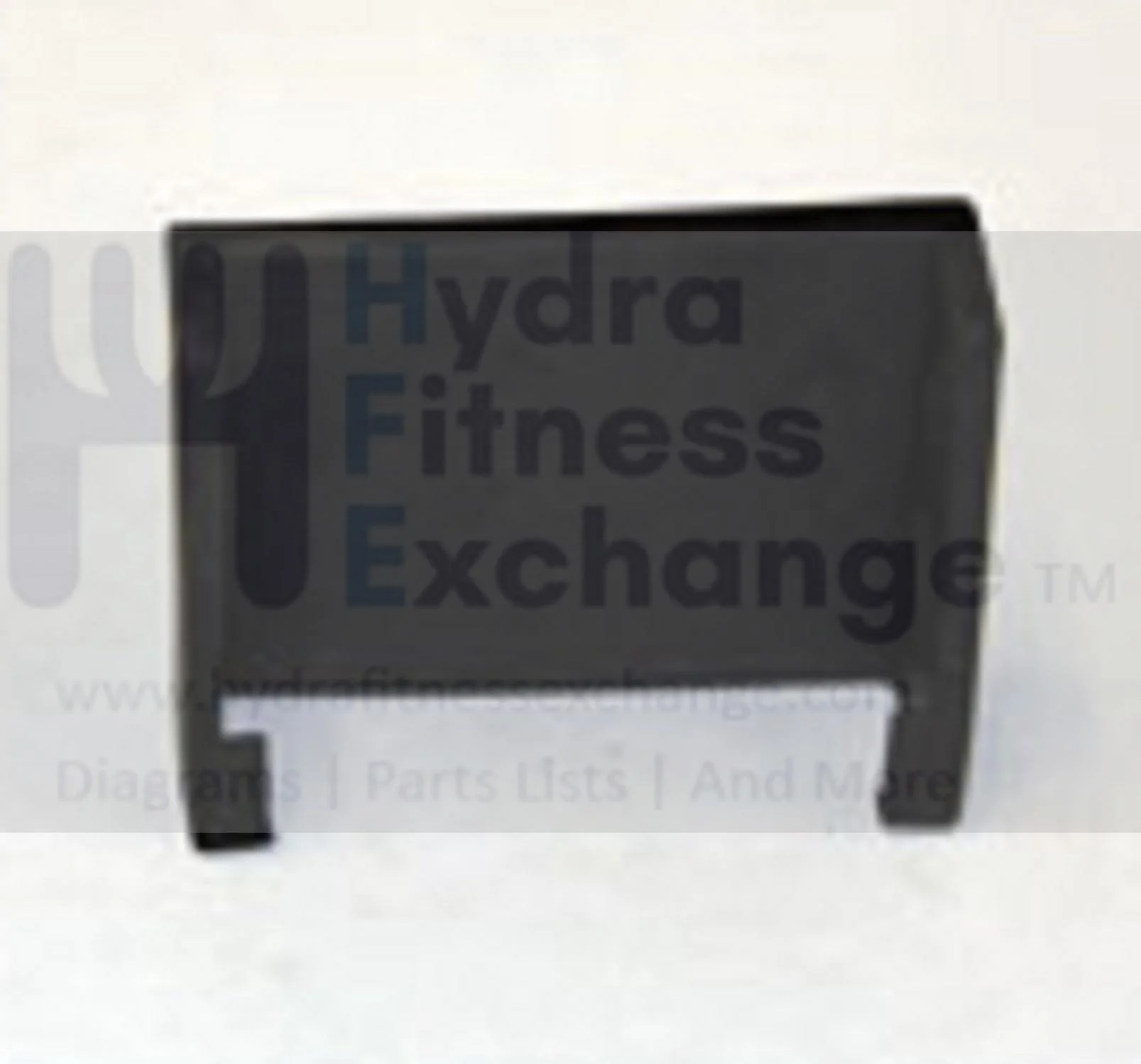 Horizon Advanced Fitness Group Livestrong Stationary Bike Ipod Foam Holder 078844