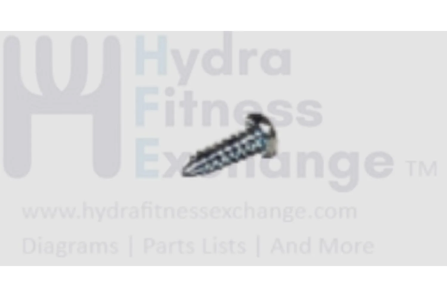 Horizon Advanced Fitness Group Livestrong Treadmill Phillip Tapped Screw 3x10L 029437-00