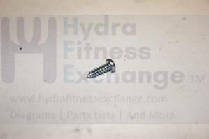 Horizon Advanced Fitness Group Livestrong Treadmill Phillip Tapped Screw 3x10L 029437-00 - Image 2