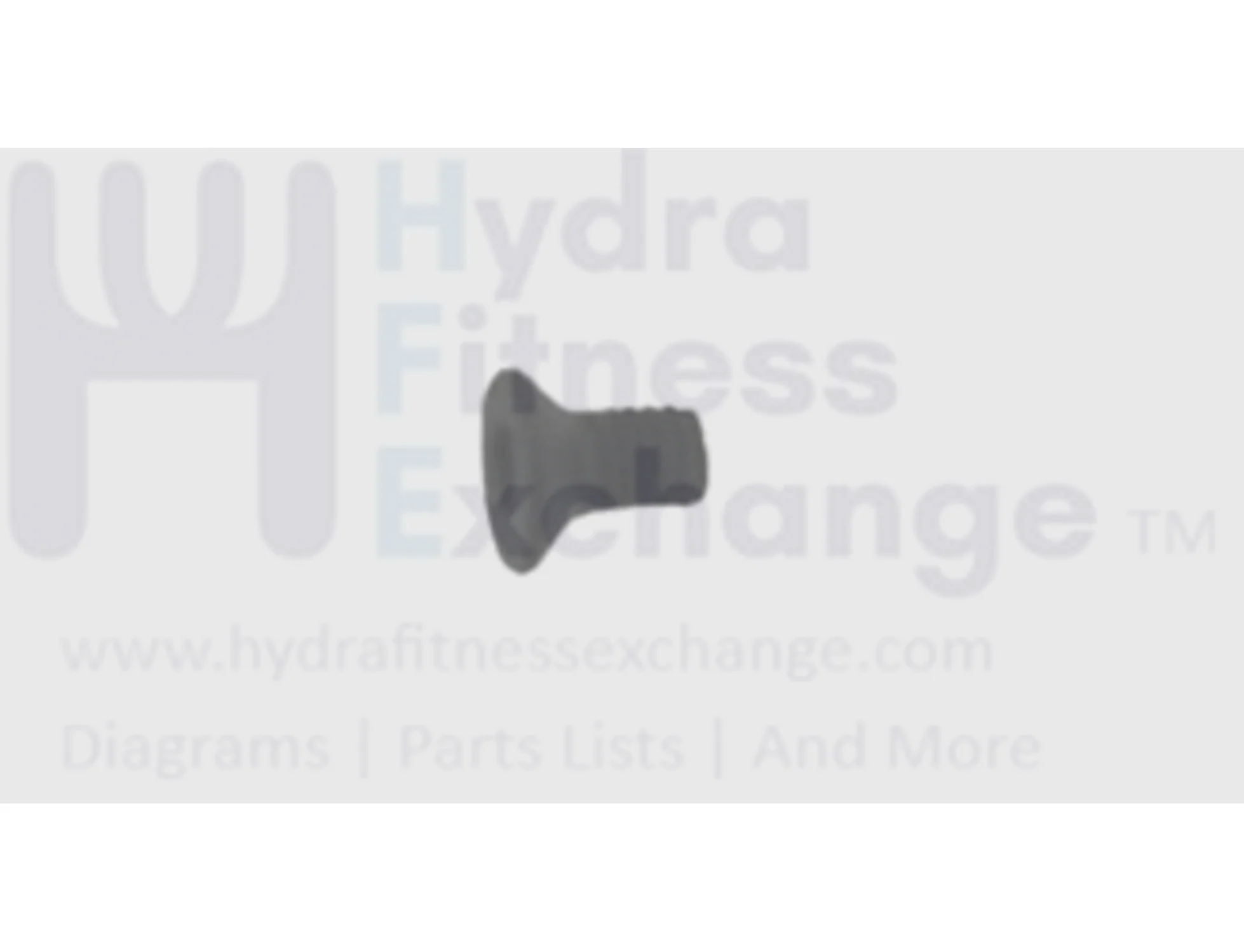 Horizon Fitness Treadmill Flat Head Hex Socket Screw M6 - 1.0P x 10L 1000202758