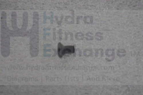 Horizon Fitness Treadmill Flat Head Hex Socket Screw M6 - 1.0P x 10L 1000202758 - Image 2
