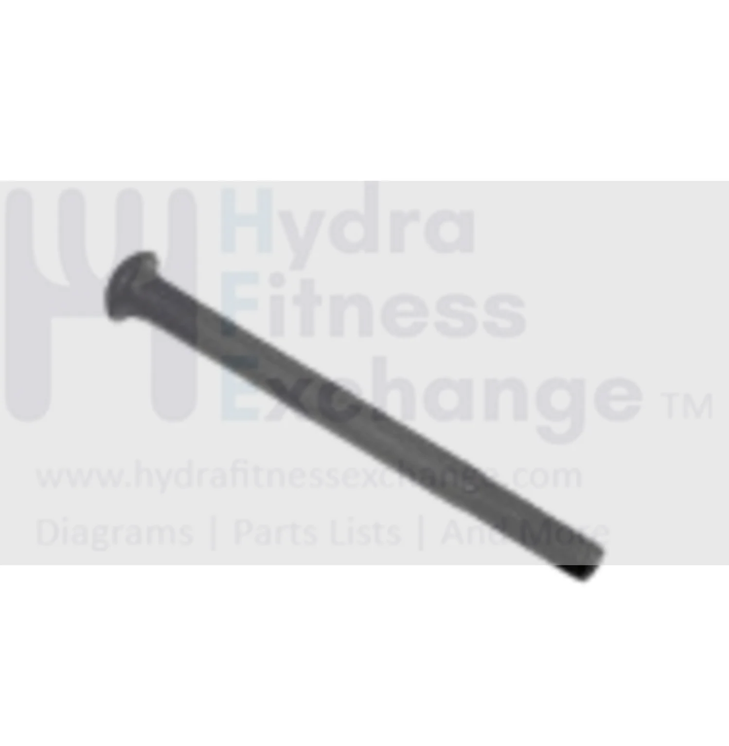 Horizon Advanced Fitness Group Stationary Bike Umbrella Hex Socket Screw M8x1.25Px90L 004810-A