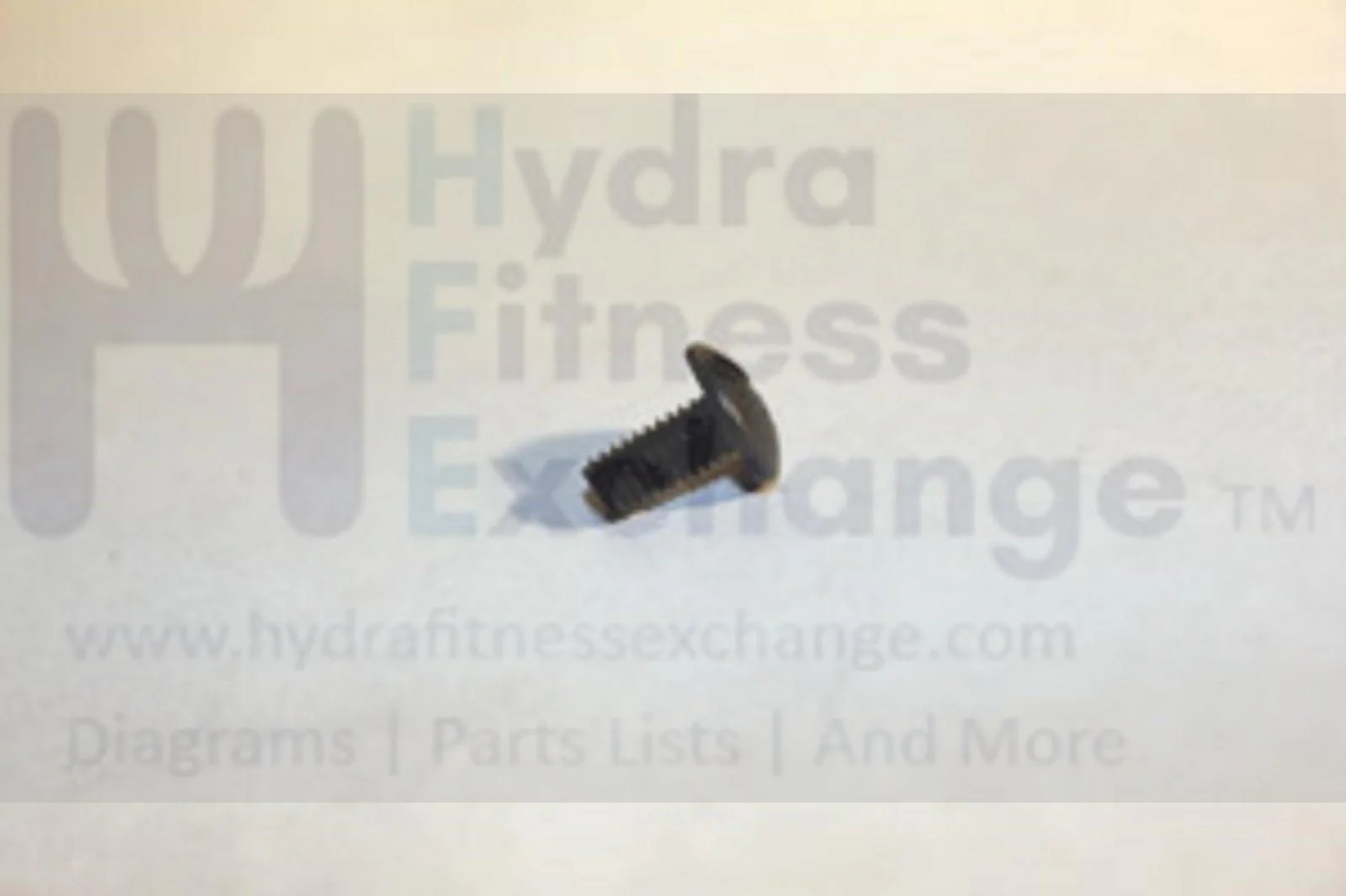 Matrix Strength System Button Head Hex Phillip Screw M4 - 0.7P x 8L 004404-00