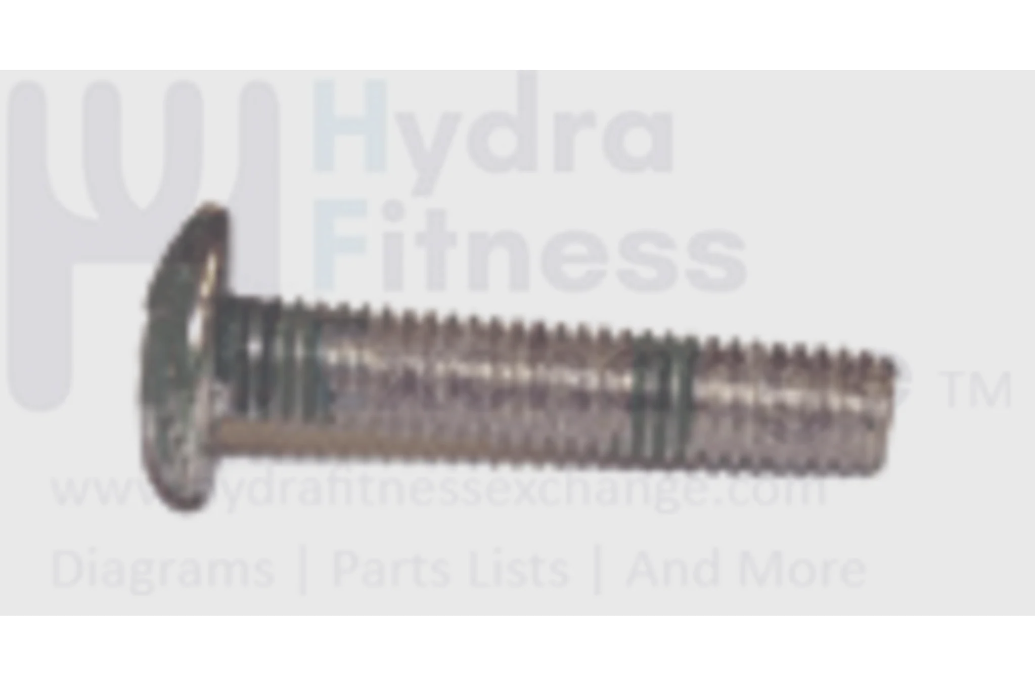 Merit Fitness Treadmill Oval Head Screw M5 - 0.8P x 25L 004378-00