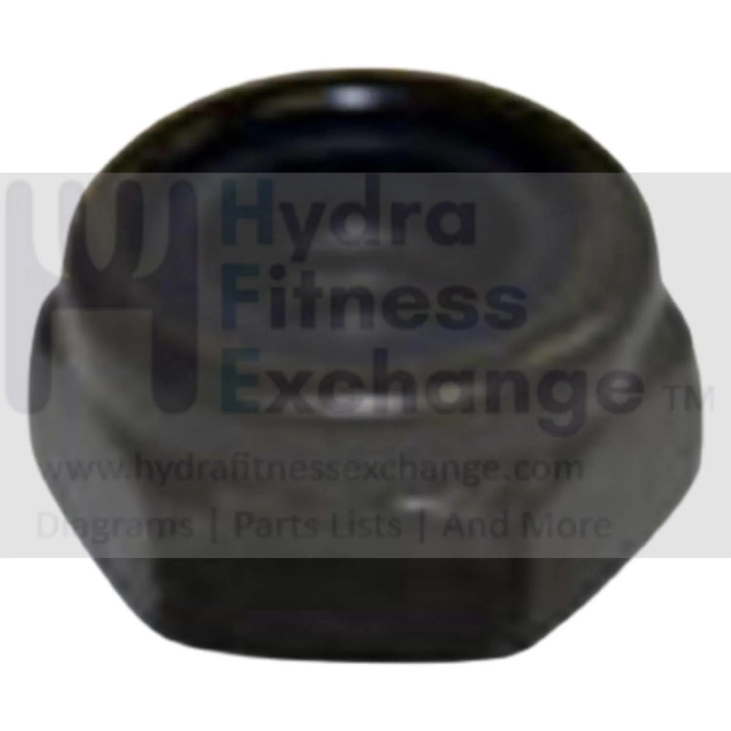 Horizon AFG Matrix Merit Fitness Gear Rower Nylon Nut M10x1.5P 004941-00