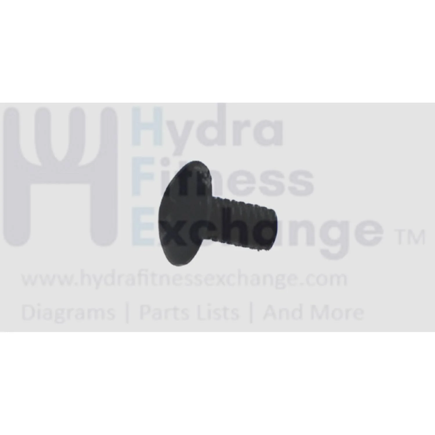 Matrix Fitness Stationary Bike Button Head Hex Screw M4 - 0.7P X 8L 018620-00