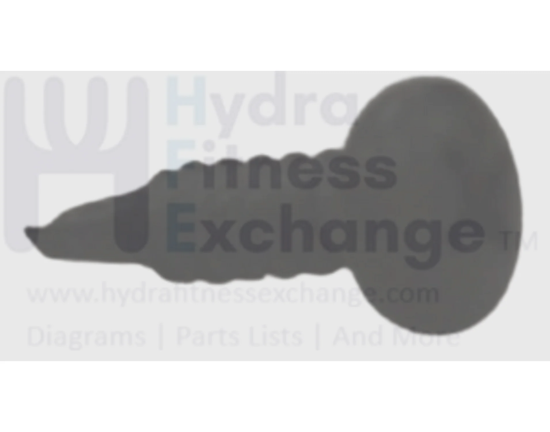Horizon Comfort R U Stationary Bike Round Head Philips Drilling Self Tapping Screw 1000324616
