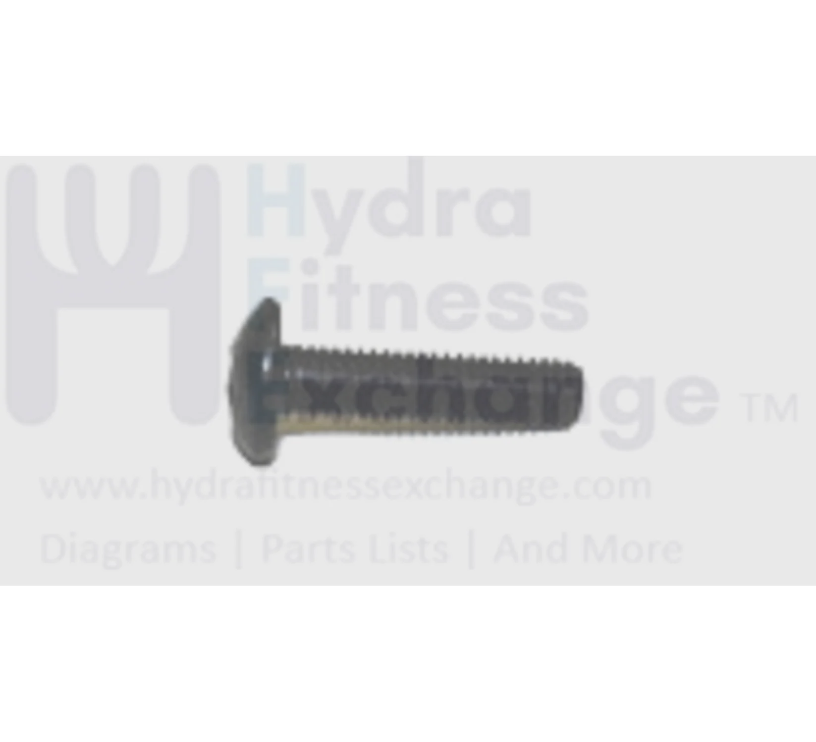 Matrix Fitness Elliptical Button Head Phillip Screw M5 - 0.8P x 20L 004368-00