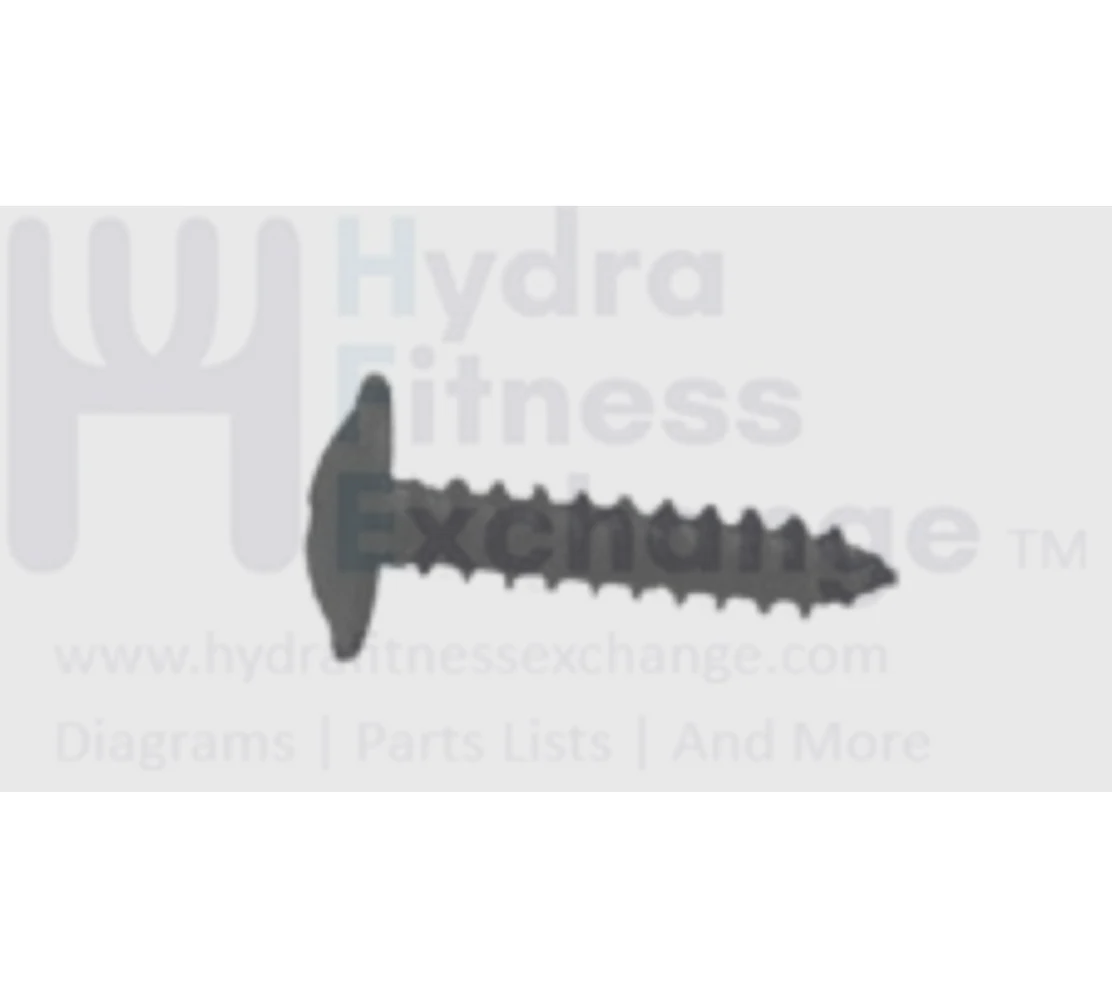 Horizon Fitness Treadmill Umbrella Cross Tapped Gap Screw 4 x 20L 049280-A