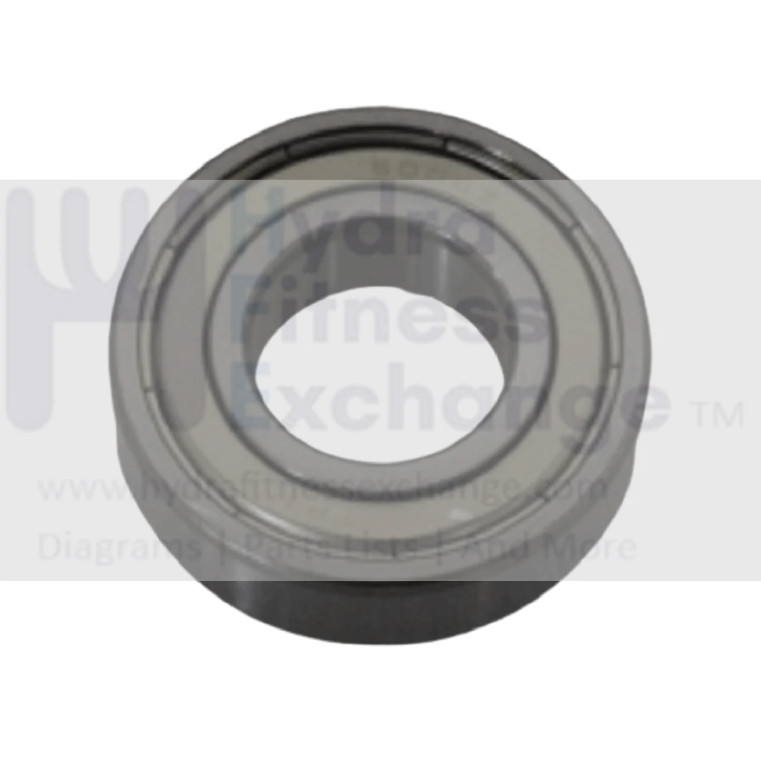 Horizon EP558E EP559E EP572C EP573D EP585 EP586 FW205 Elliptical Sealed Bearing 6004ZZ 1000325798