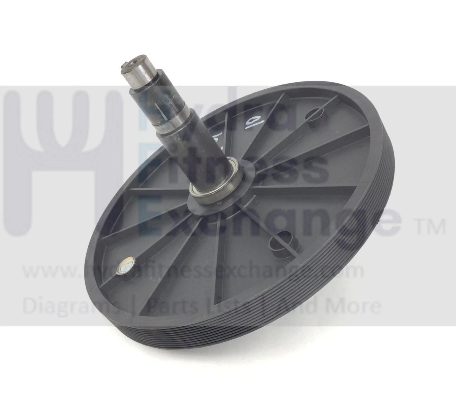 Horizon Evolve 3-02 - EP583B Elliptical Flywheel Pulley Assembly 1000366302