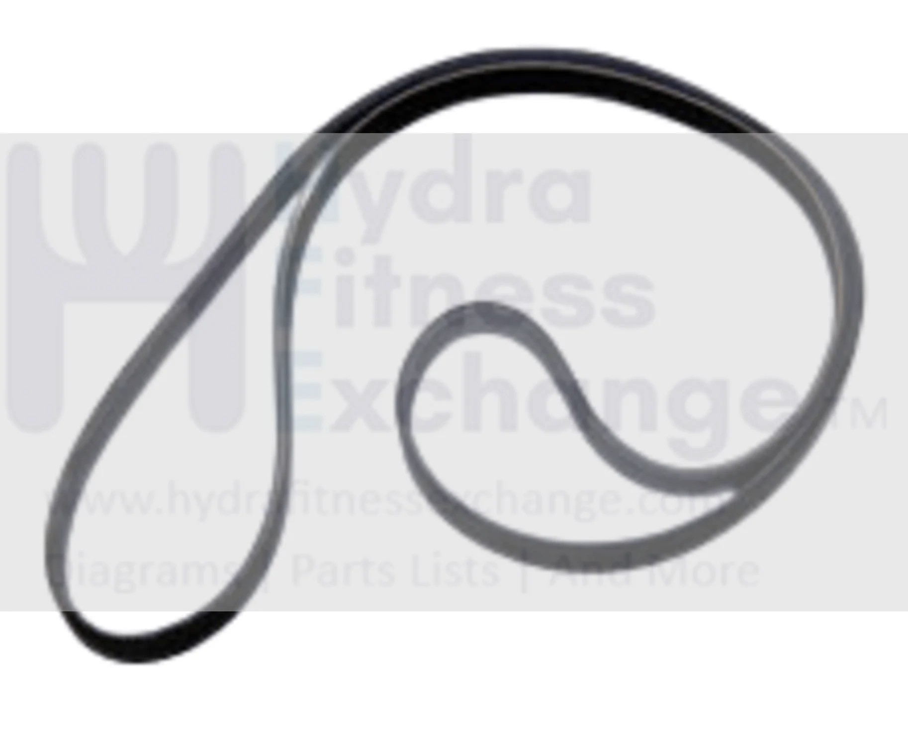 Horizon Fitness 2.0B 3.0B Express II S-Class B30 Stationary Bike Pulley Drive Belt 46" 004202-00 - Image 2