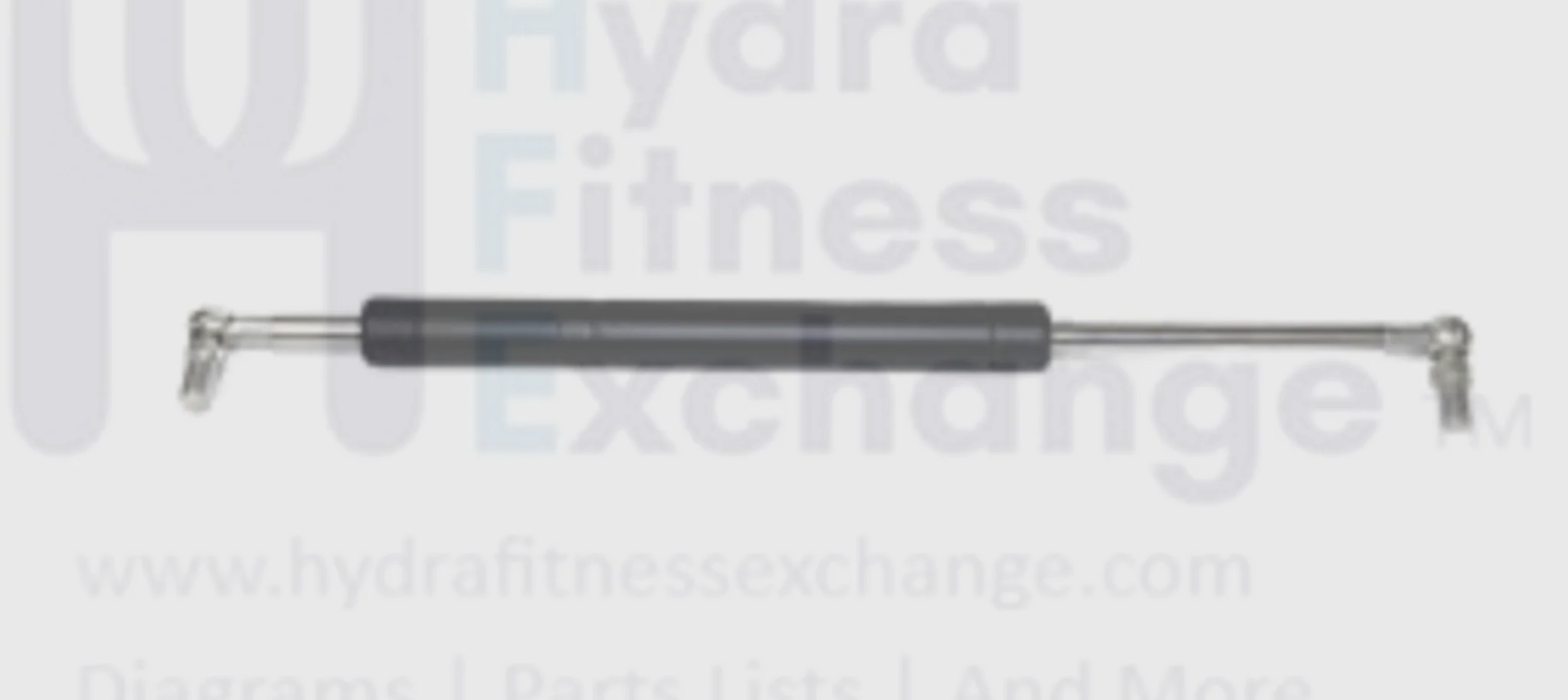 Horizon Fitness 5.2T - TM147 Treadmill Air Shock 022495-AX