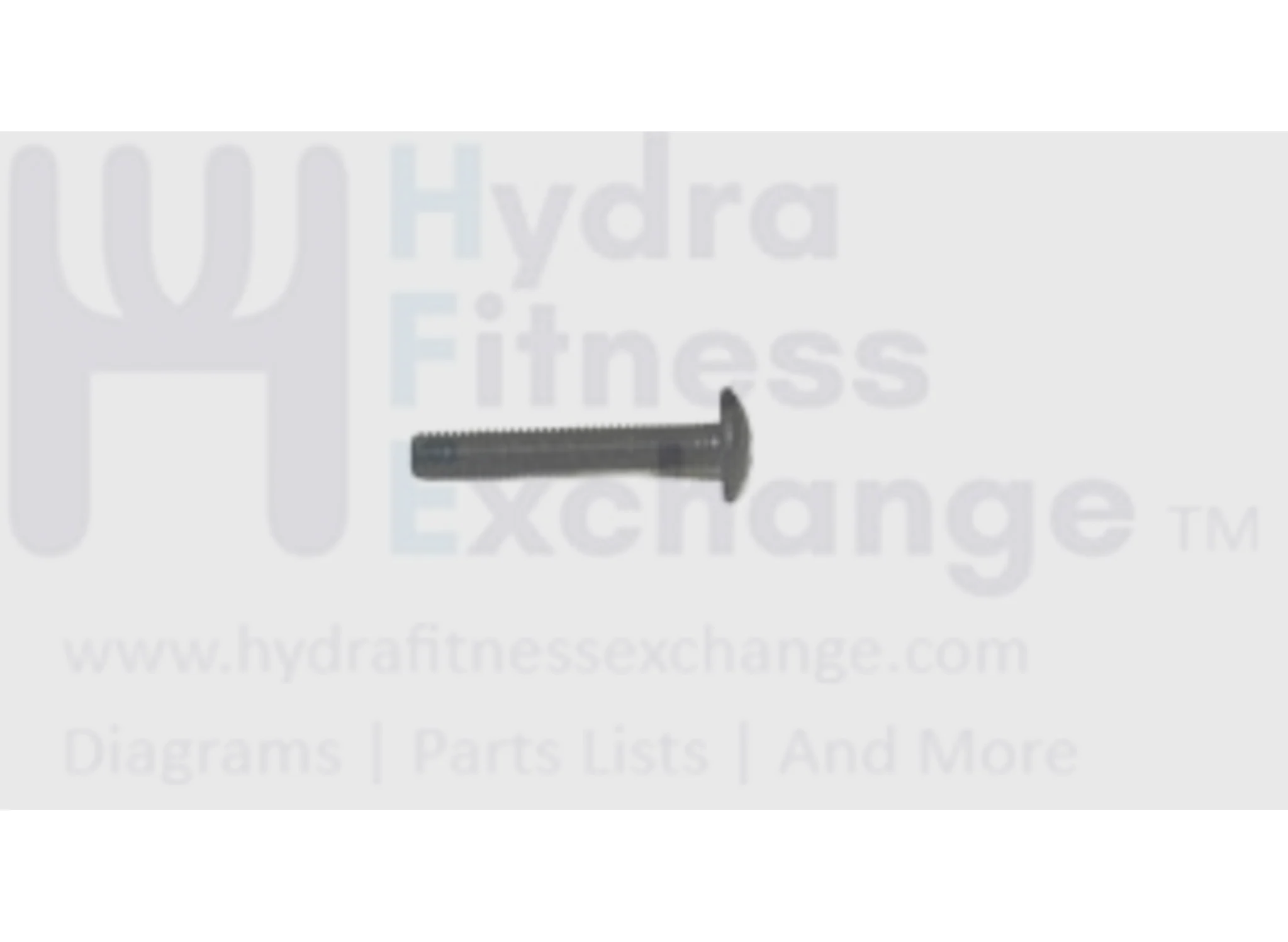 Horizon Fitness 7.0AT-04 -TM1021 Treadmill Button Head Screw M5X0.8PX30L 020016-00