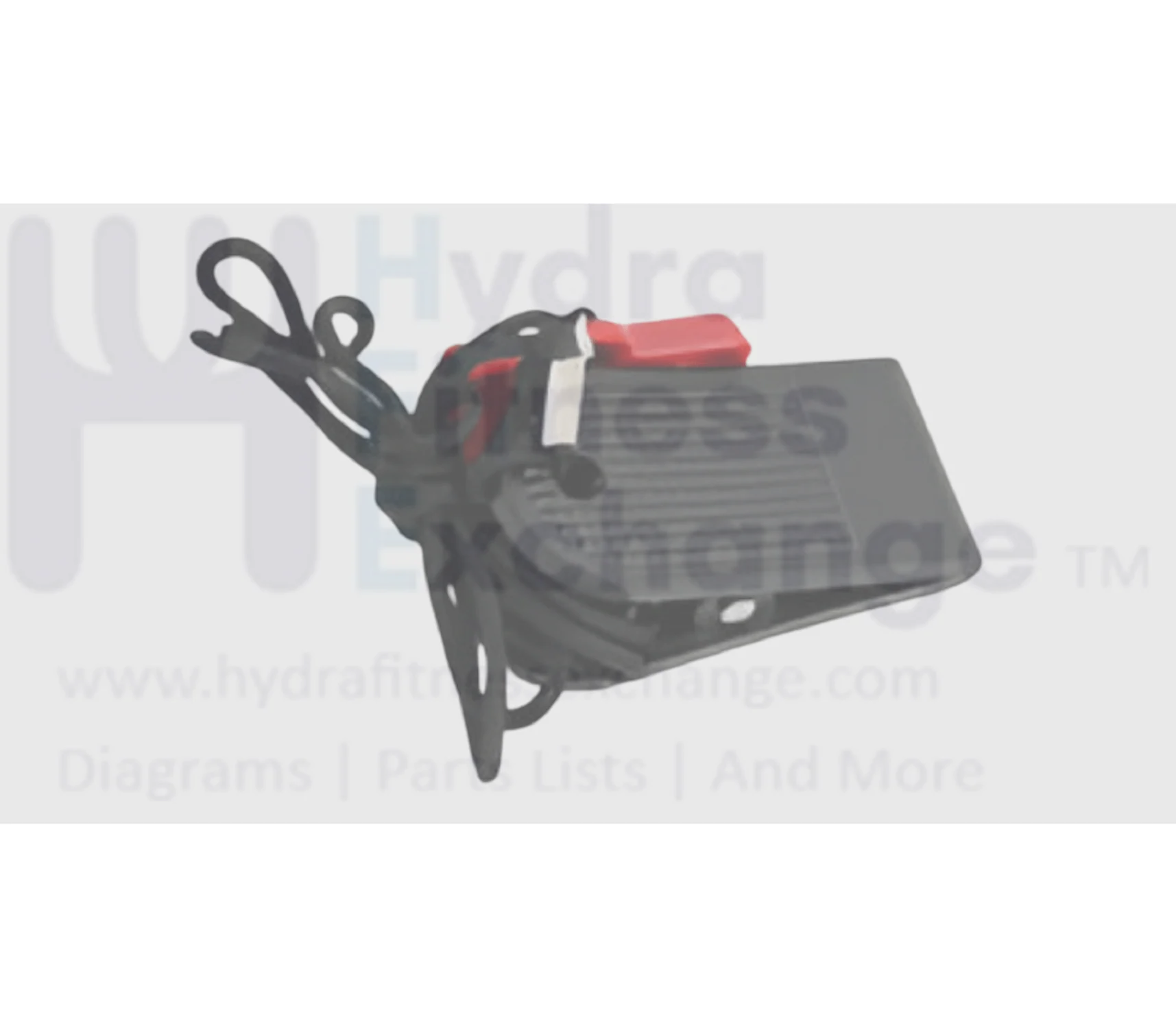 Horizon Fitness TM1020 Treadmill Magnetic Safety Key Lanyard 1000110270