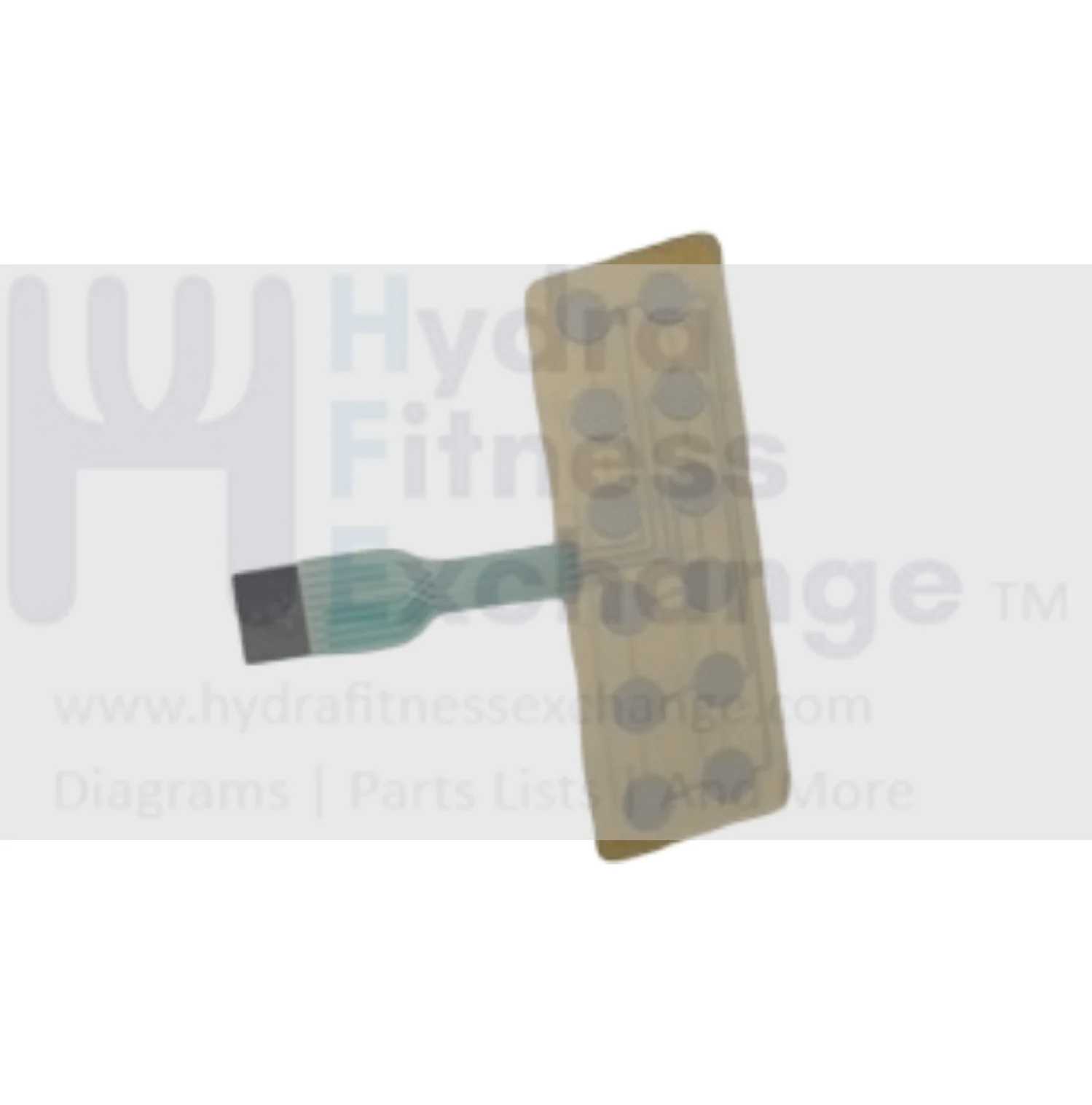 Horizon Fitness Treadmill Right Membrane Keypad 1000458960