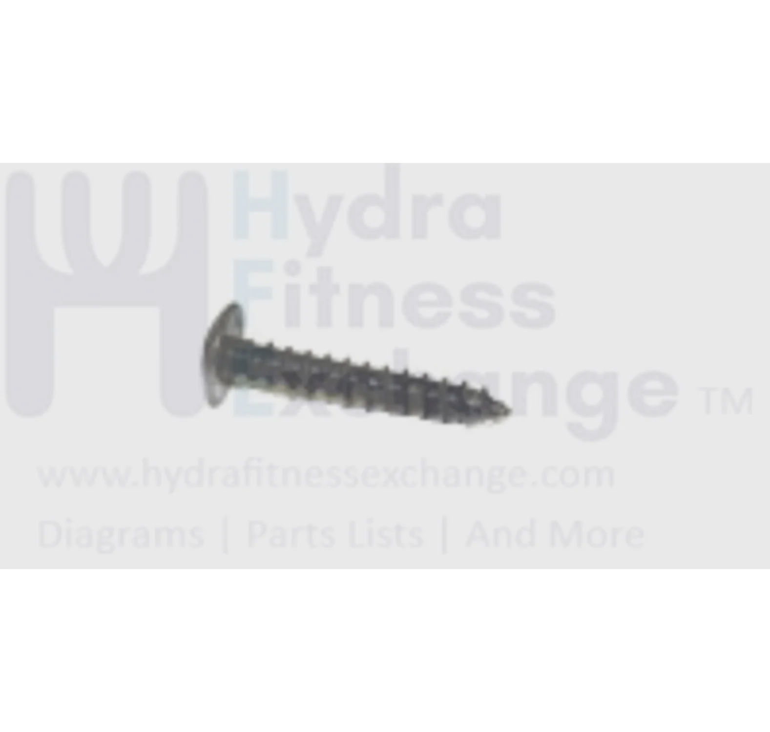Horizon Fitness 7.0AT-04 Treadmill Button Head Tapped Screw 4X25L 004631-00